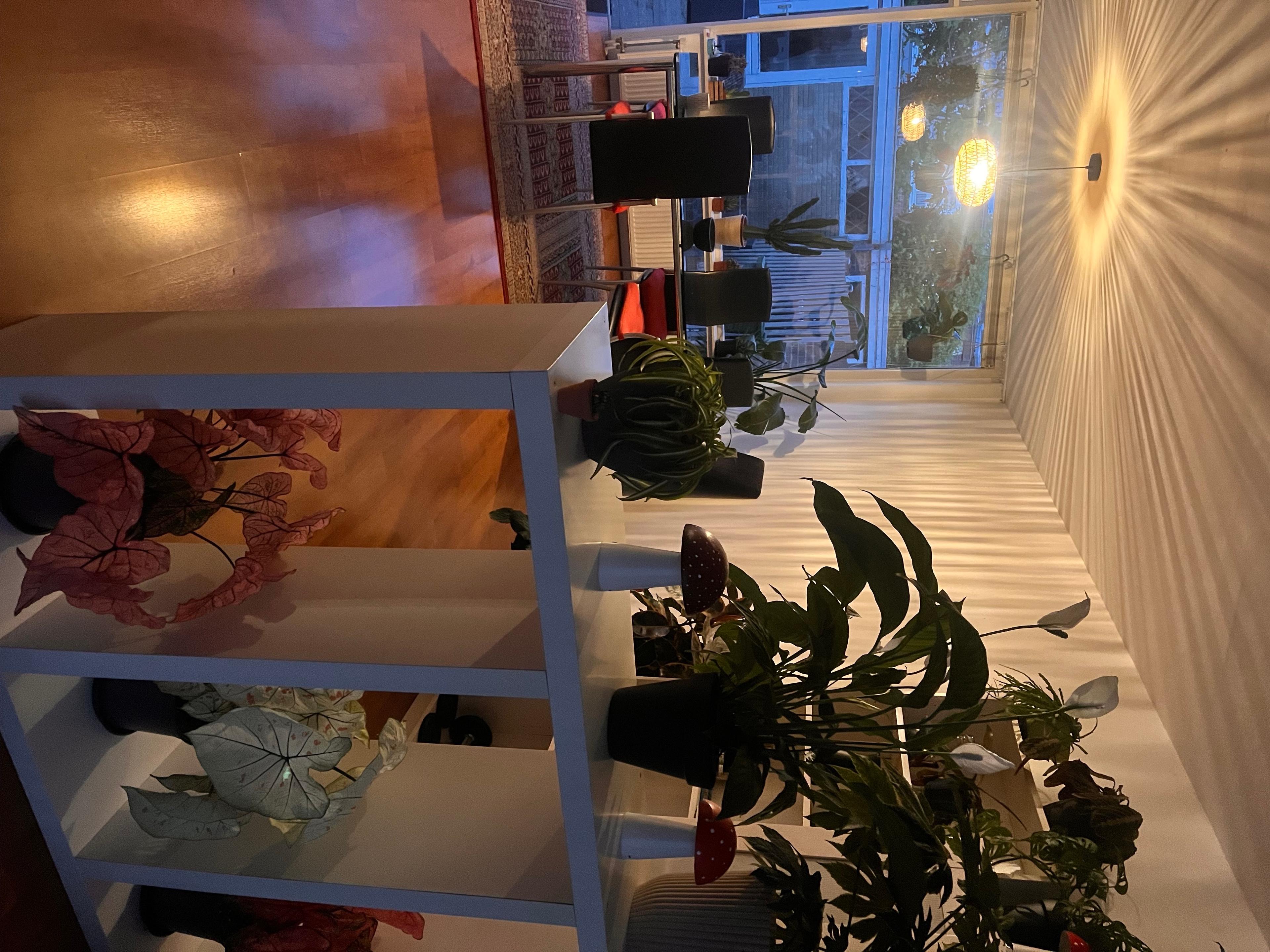 show all photos of Kardinaal de Jongstraat