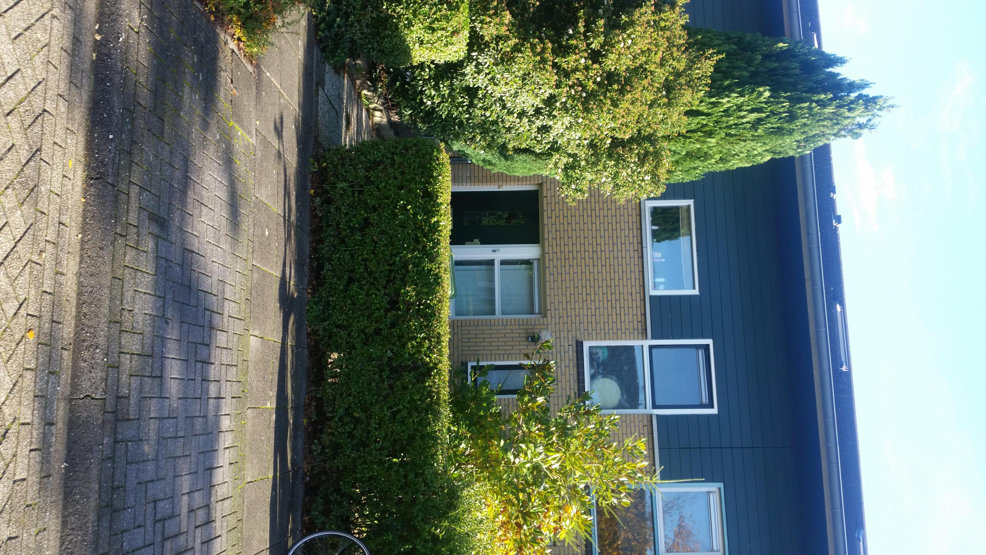 show all photos of Aprilstraat