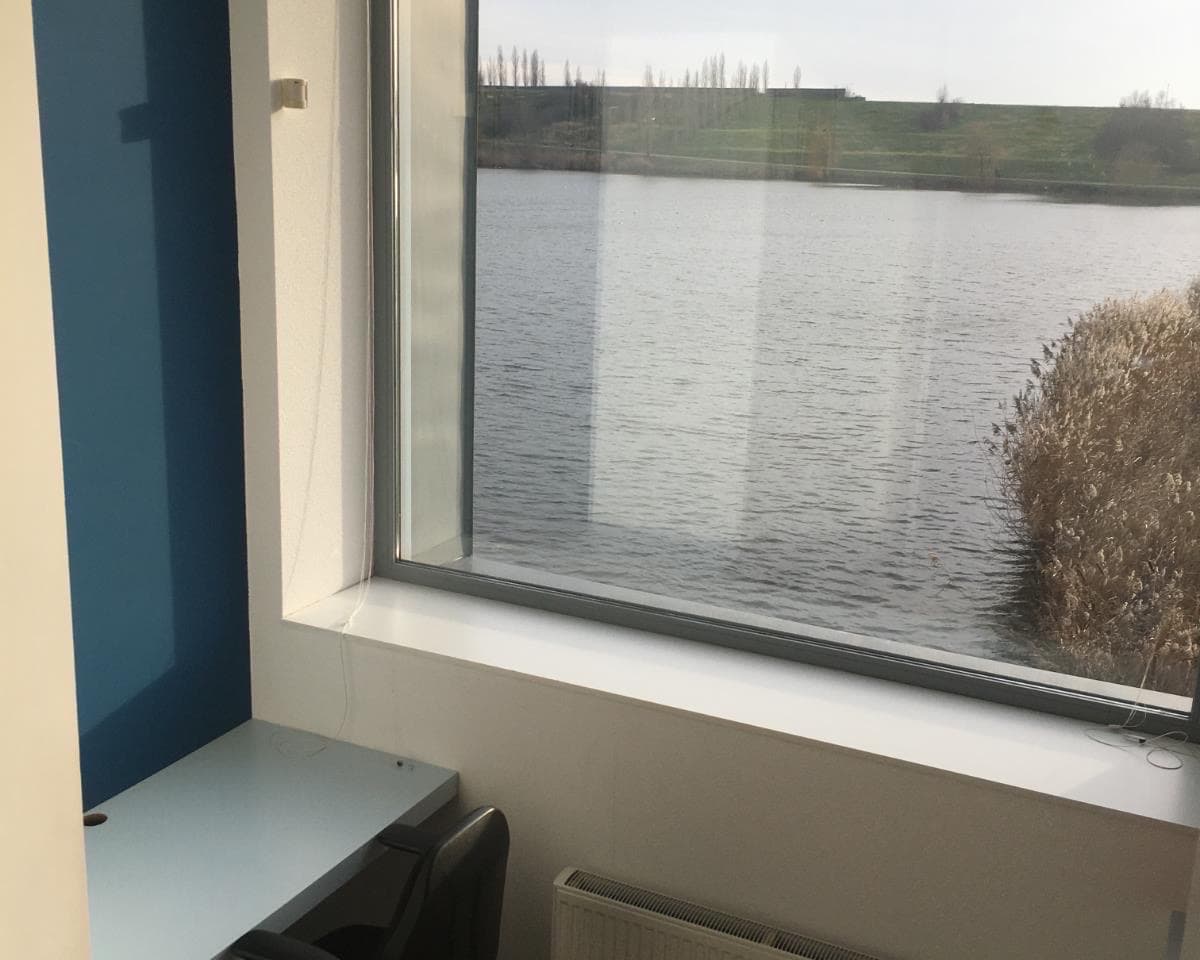 show all photos of Zonnedauw