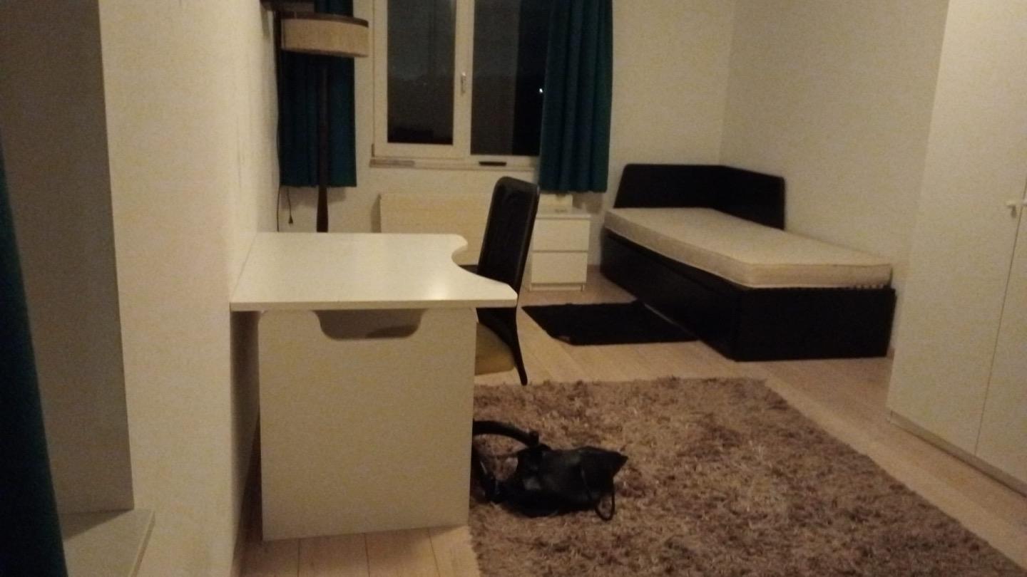 show all photos of Bastion