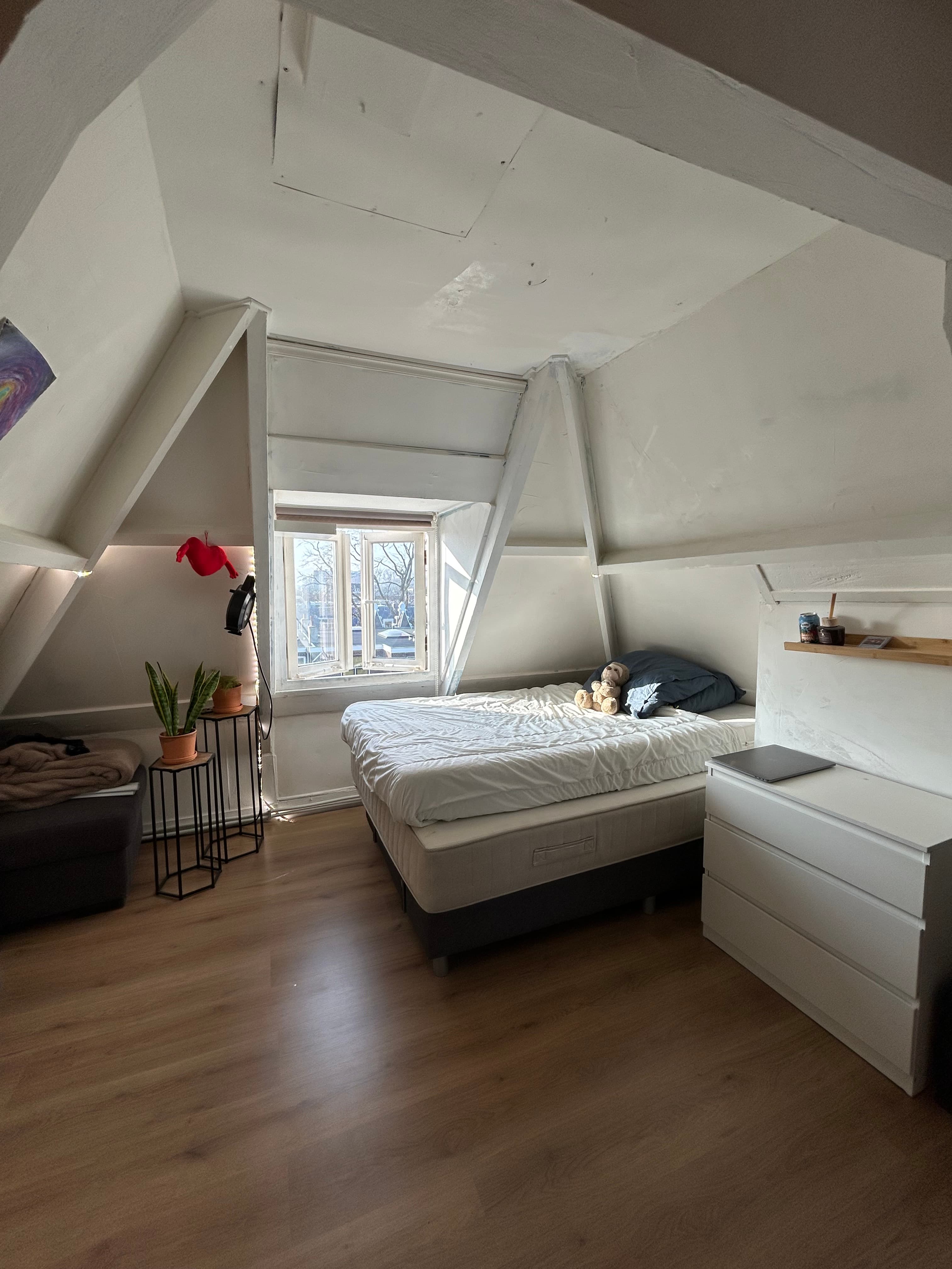 show all photos of Waterloostraat