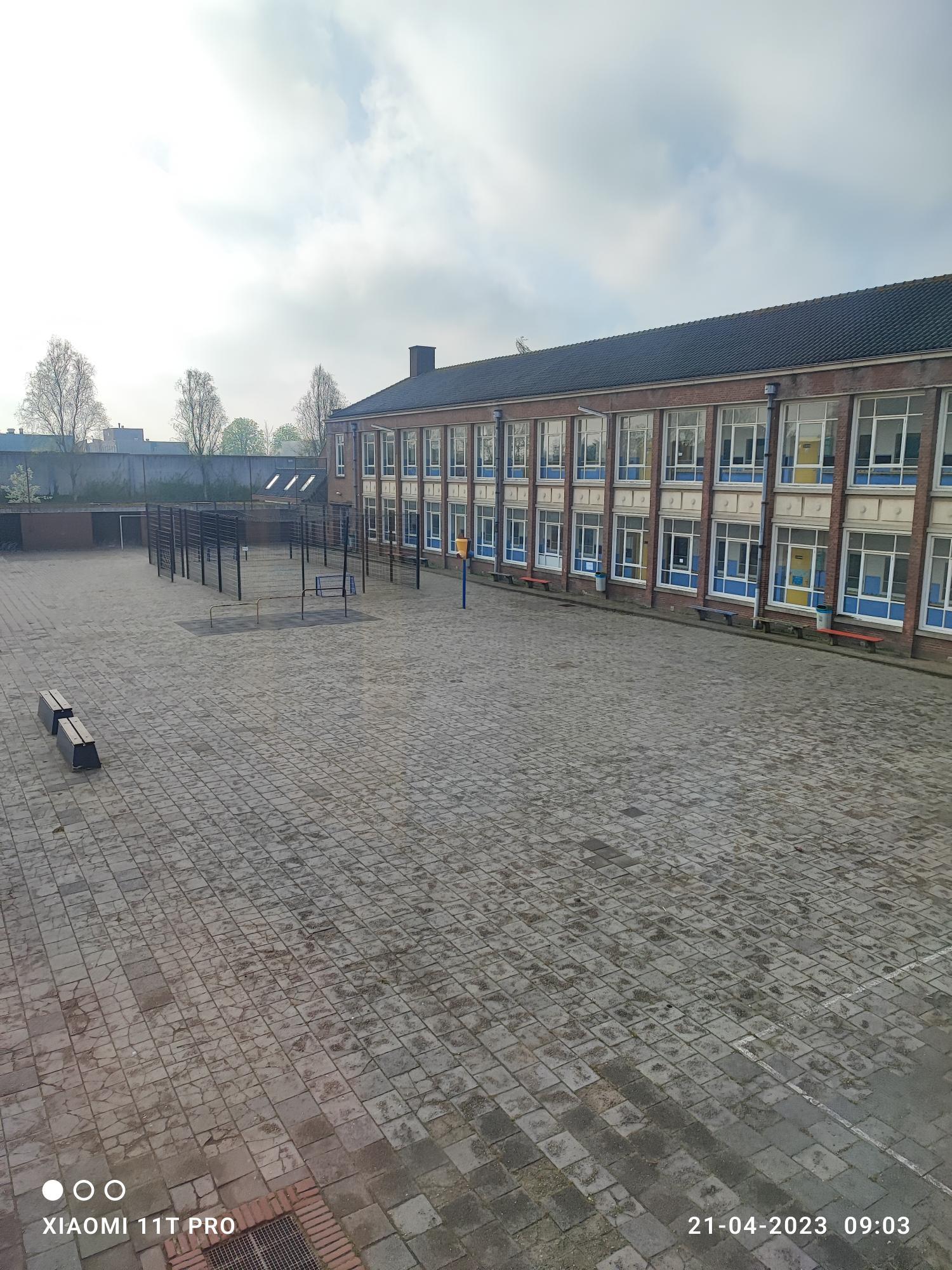 show all photos of Azaleastraat