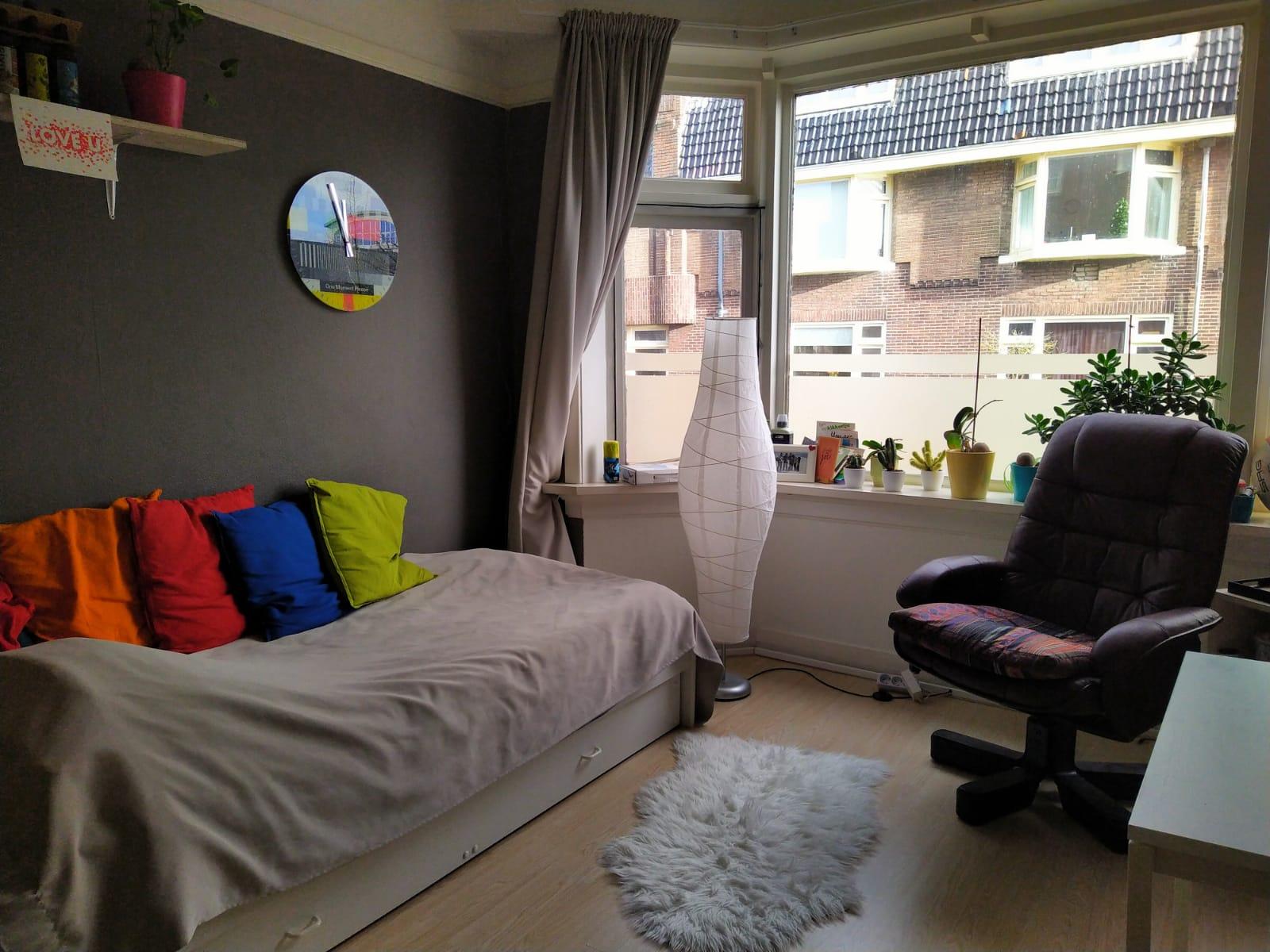 show all photos of Dorus Rijkersstraat