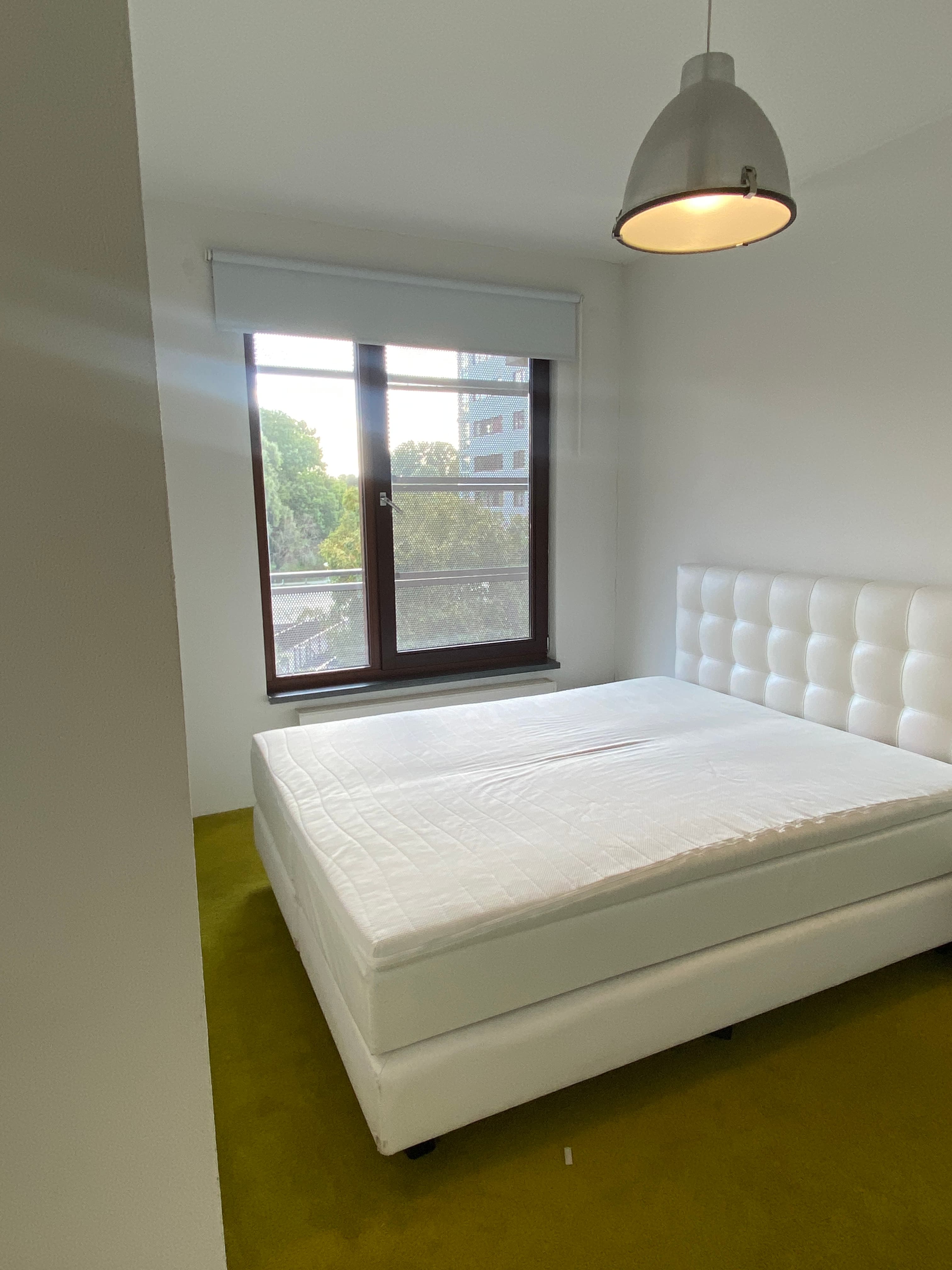 show all photos of Oeverpad