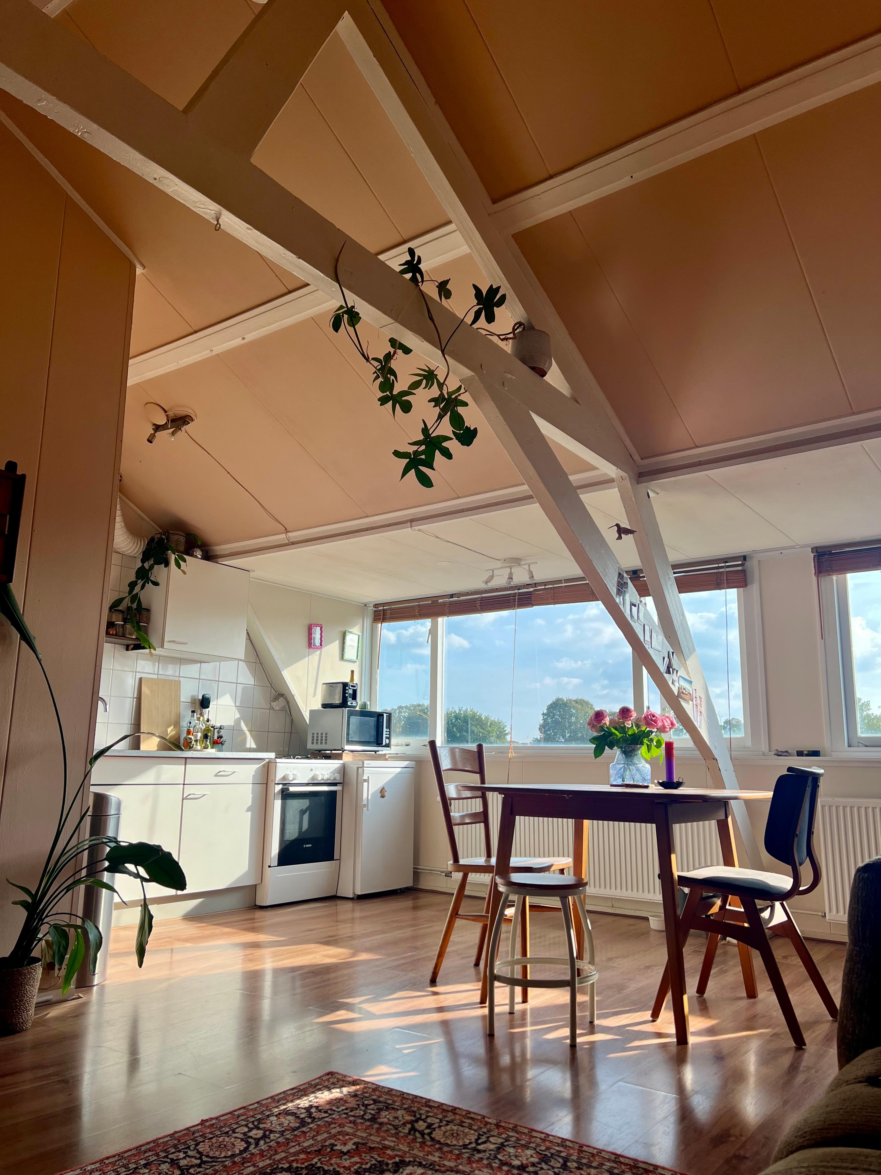 show all photos of Saenredamstraat