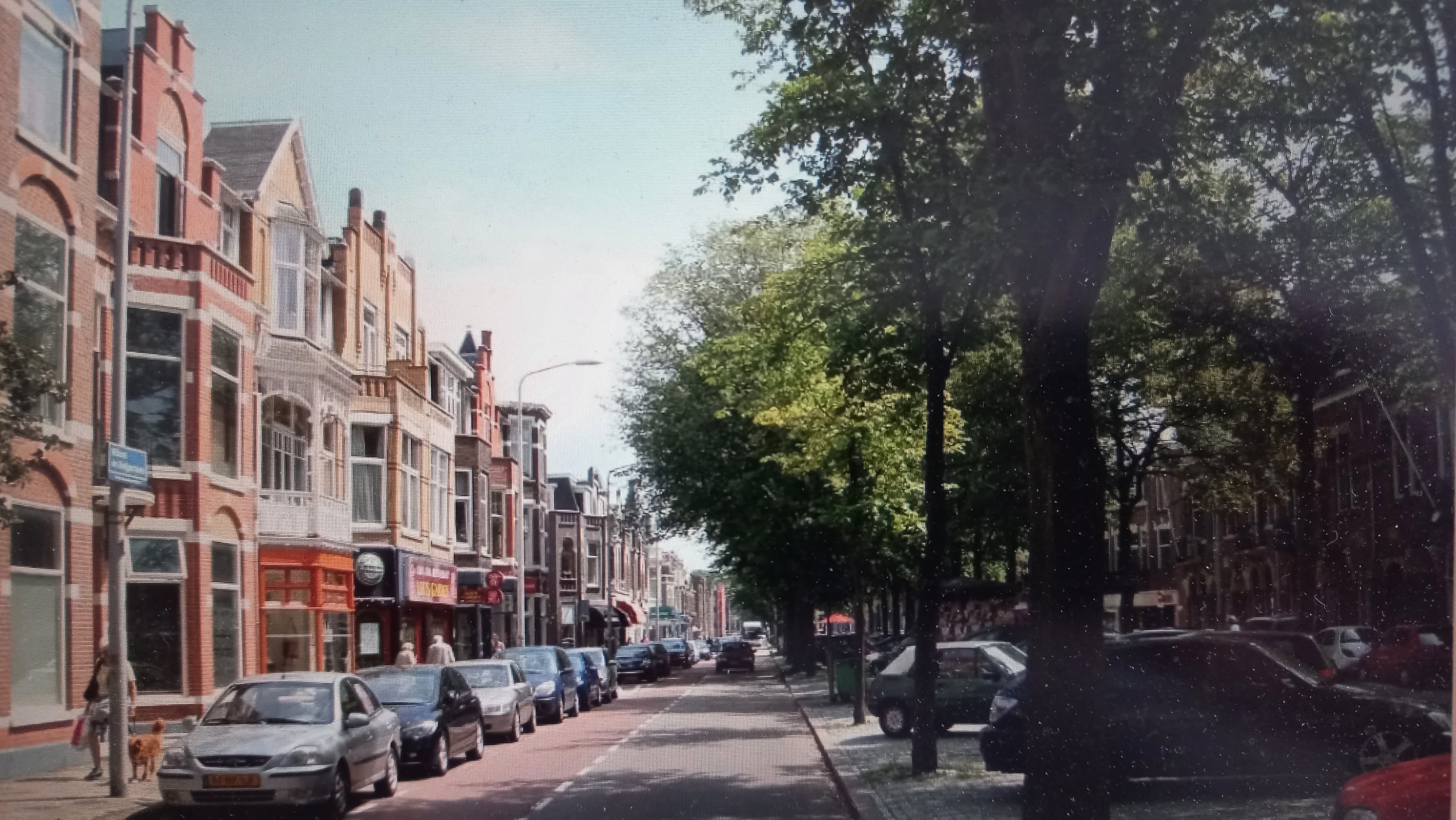 show all photos of Willem de Zwijgerlaan