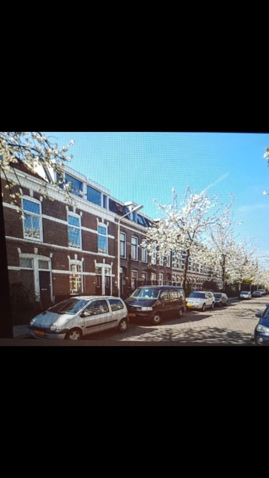 show all photos of Dominicanenstraat