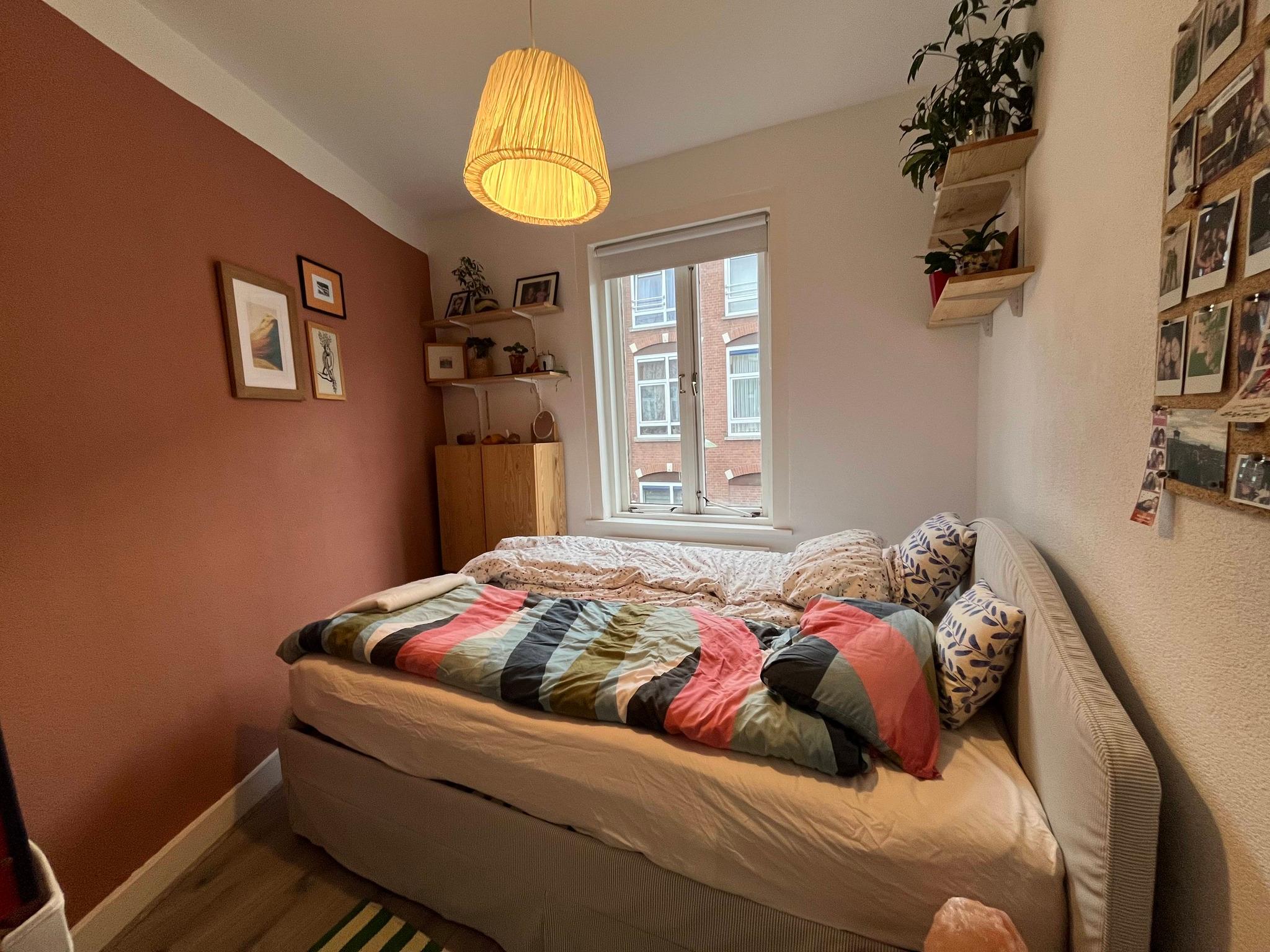 show all photos of 1e Delistraat