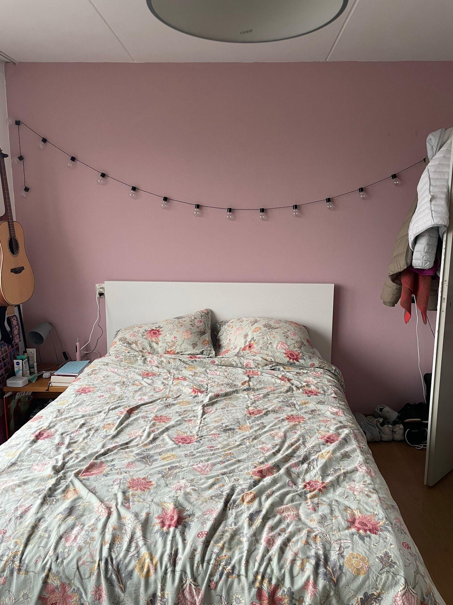 show all photos of Zonnelaan