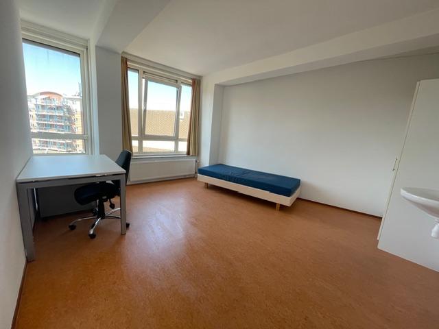 show all photos of Stadsbrink