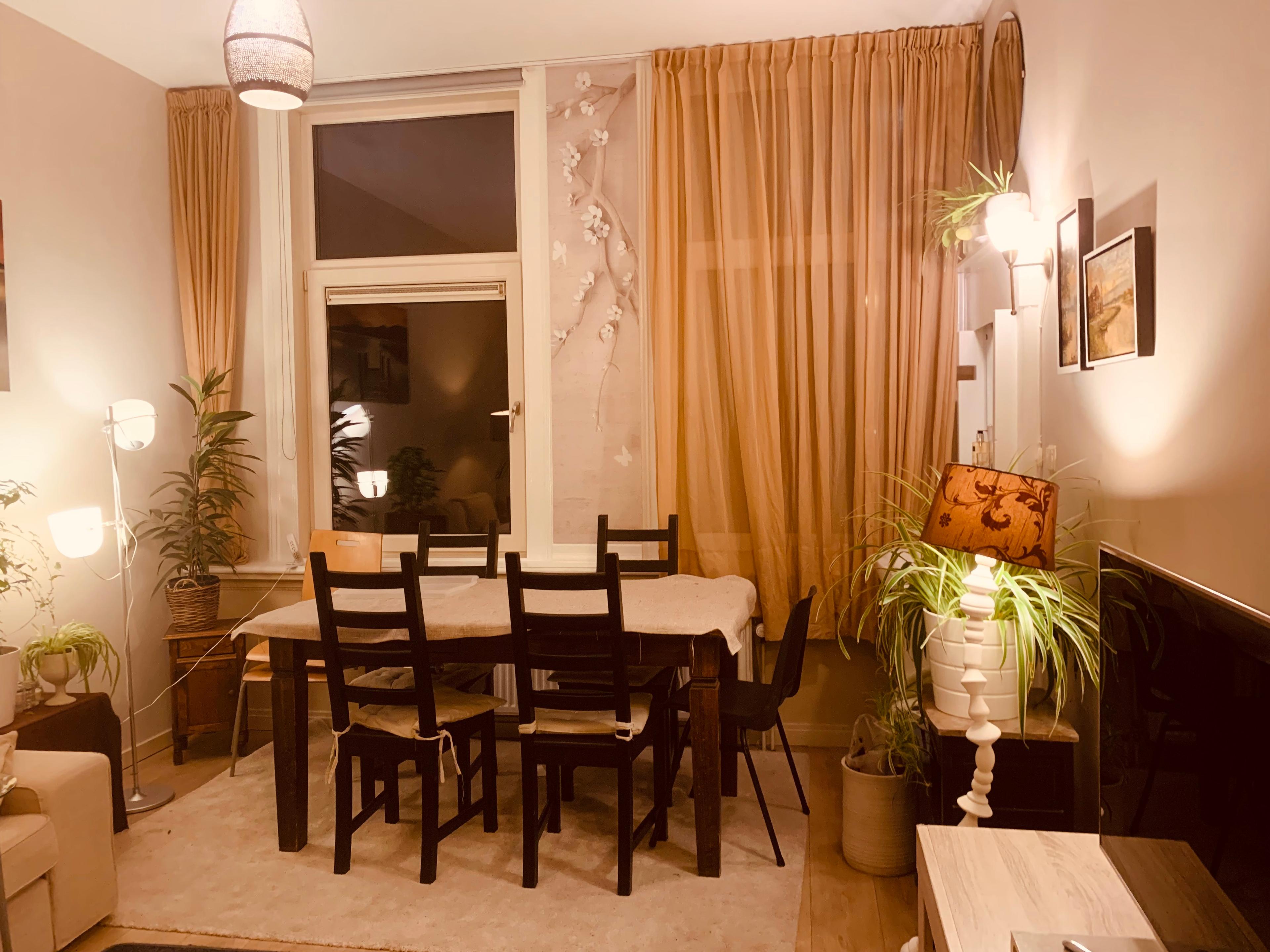 show all photos of Wagenaarstraat