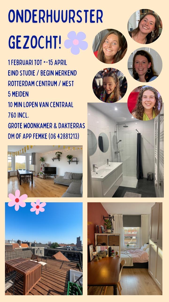 show all photos of Essenburgsingel