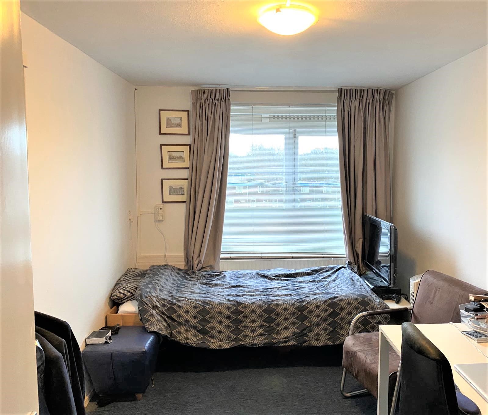 show all photos of Pieter Calandlaan