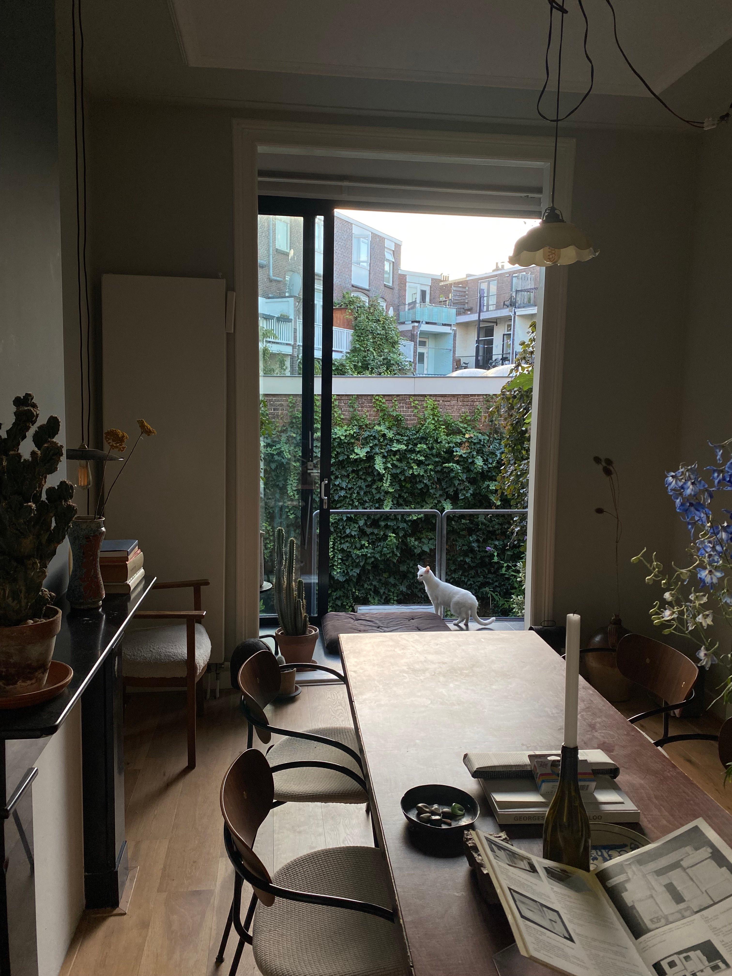 show all photos of Leeuwerikstraat