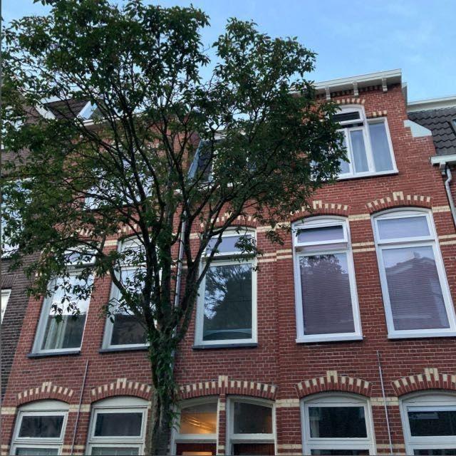 show all photos of Verlengde Nieuwstraat