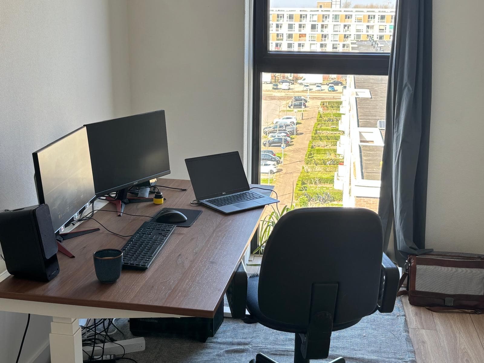 show all photos of Auriollaan