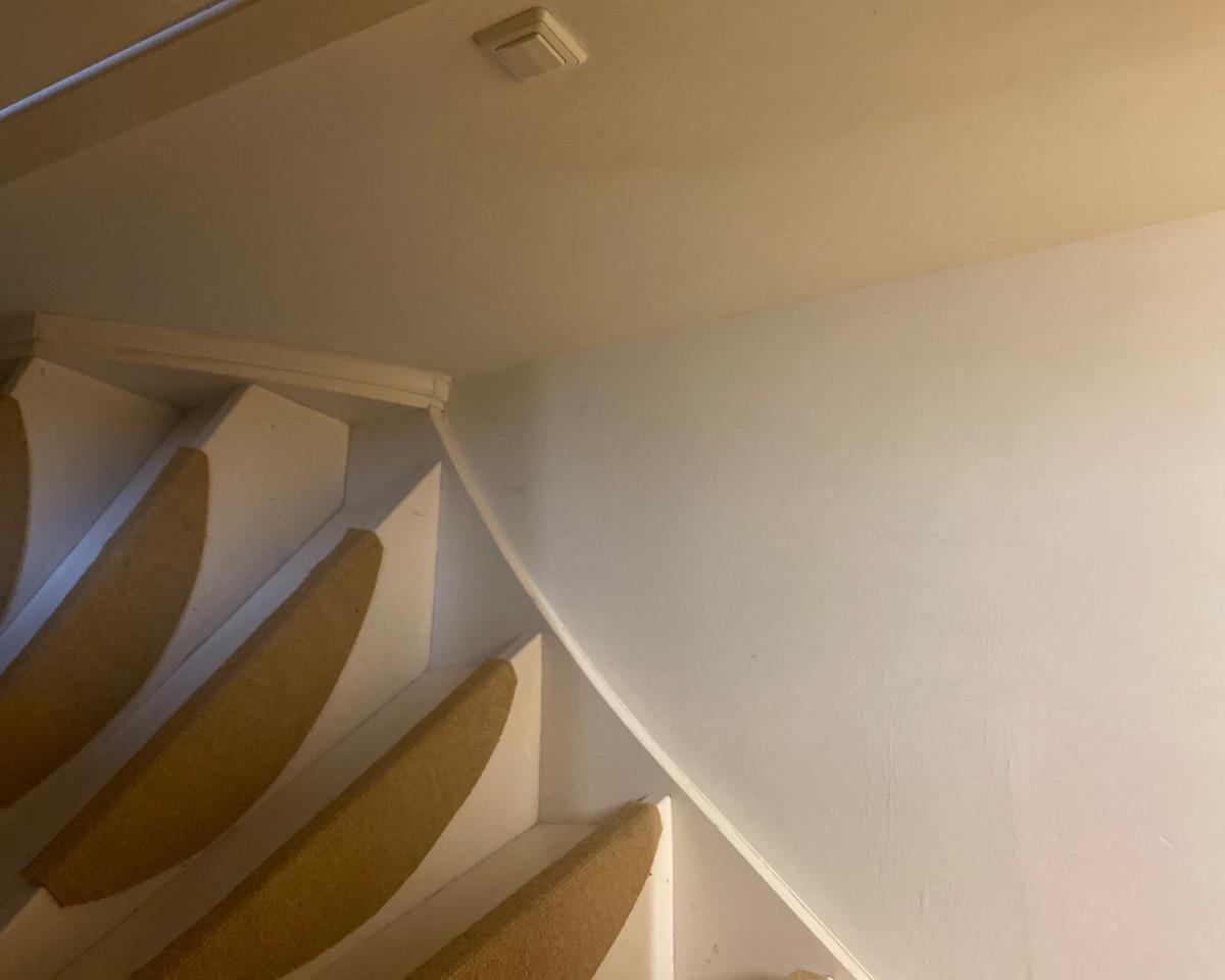 show all photos of Kaaspers