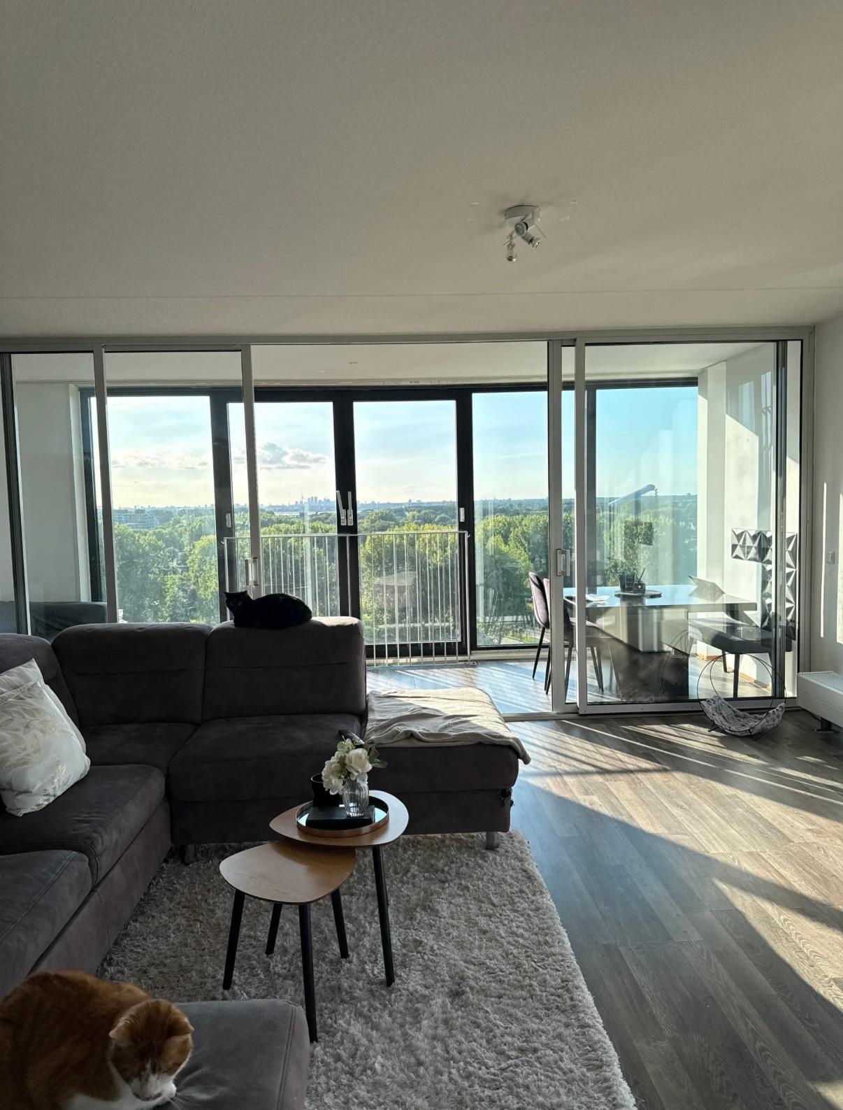 show all photos of Nederlandlaan