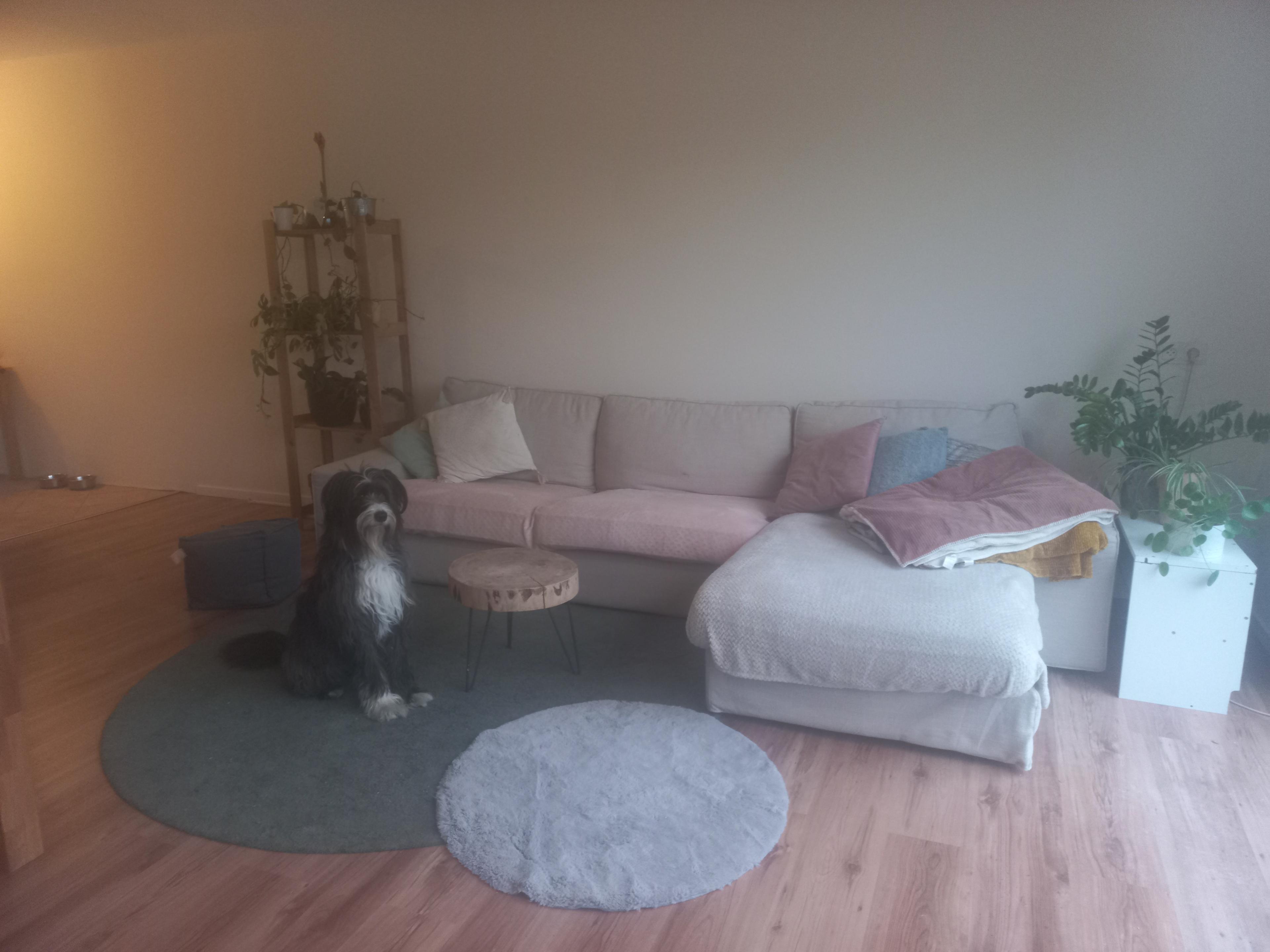 show all photos of Varenstraat