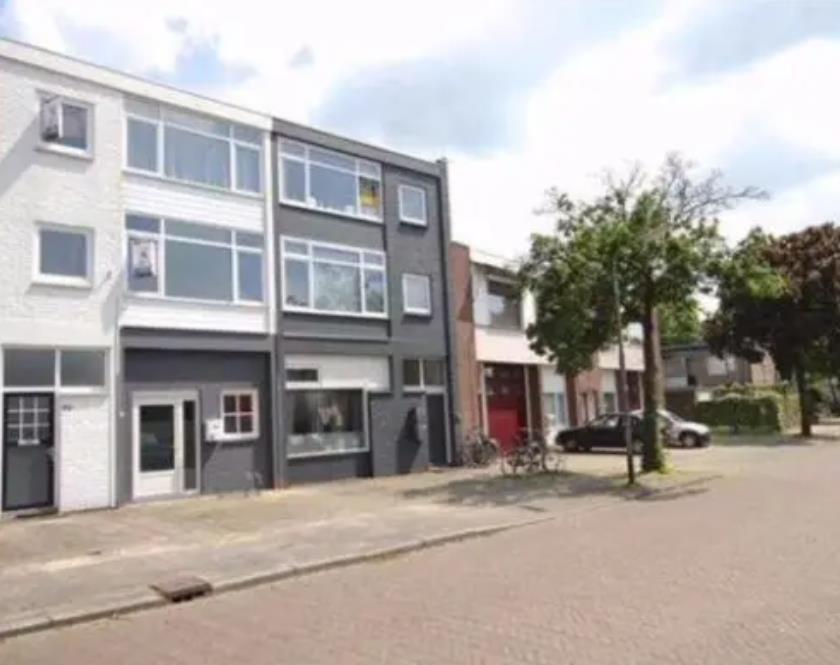 show all photos of Citroenvlinderstraat