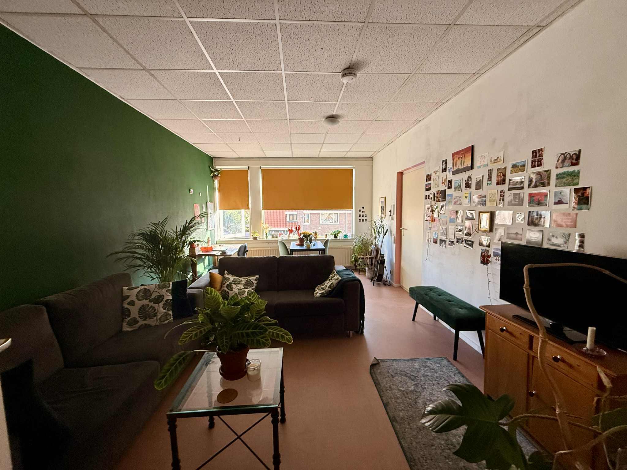 show all photos of Amsterdamsestraatweg