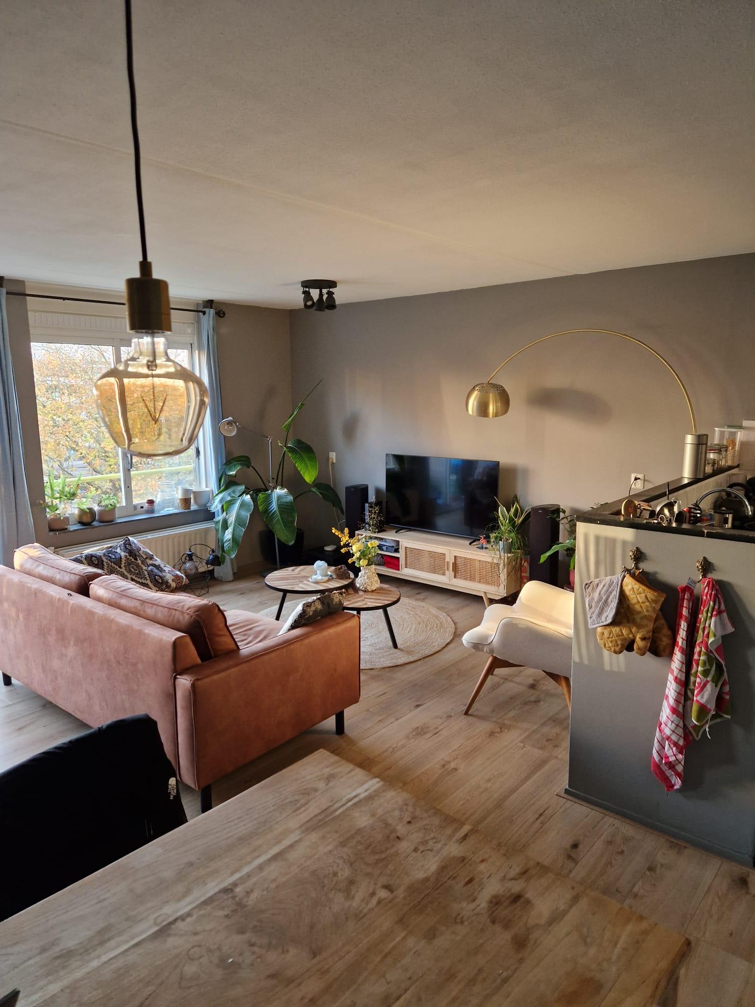 show all photos of Louise Wentstraat