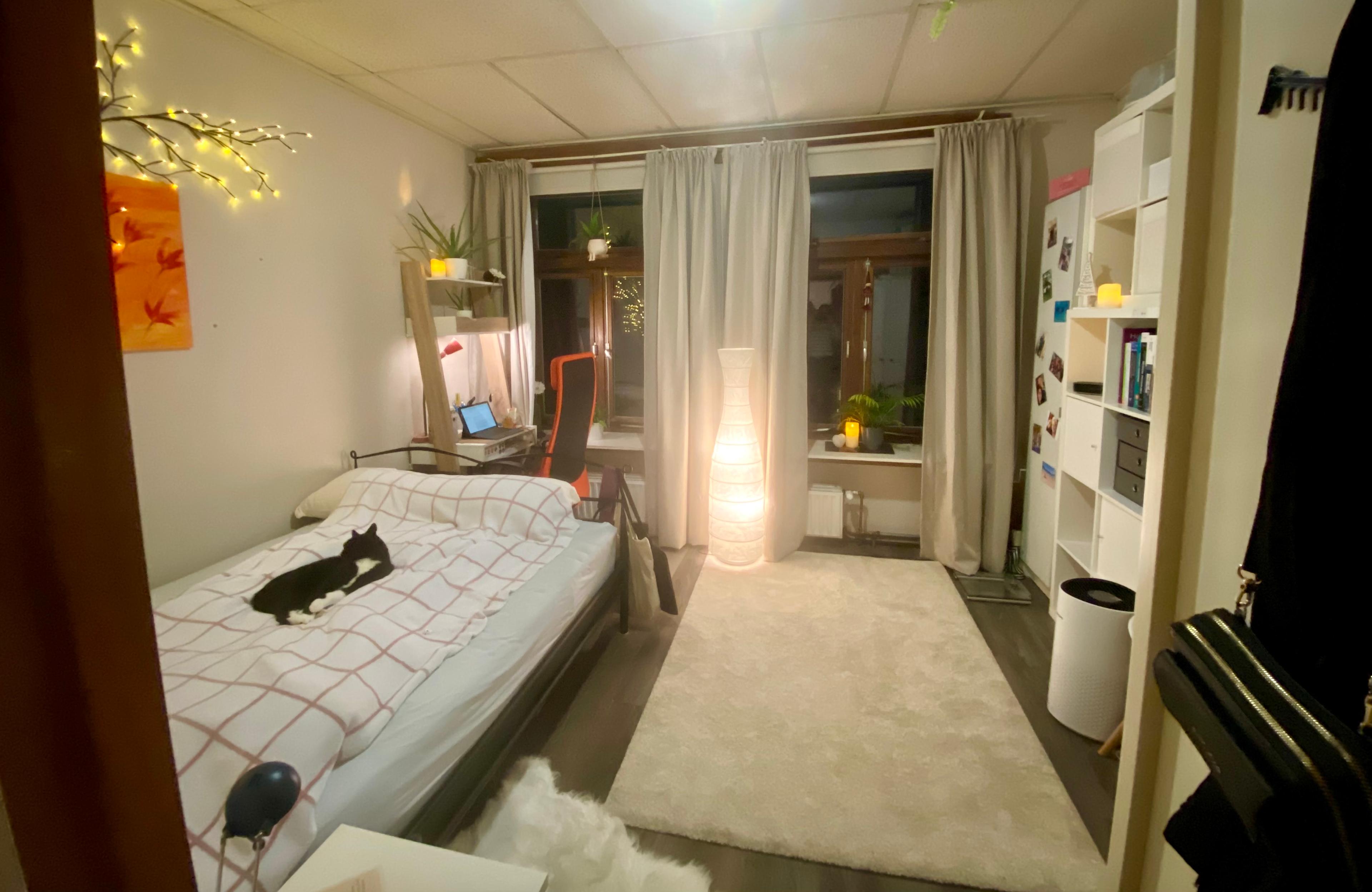 show all photos of Billitonstraat