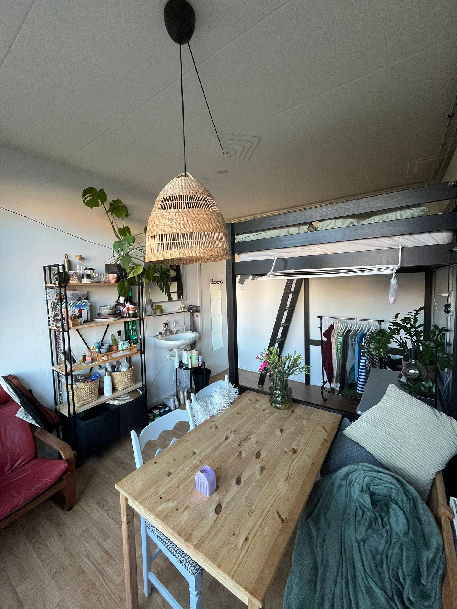 show all photos of Van Swinderenstraat