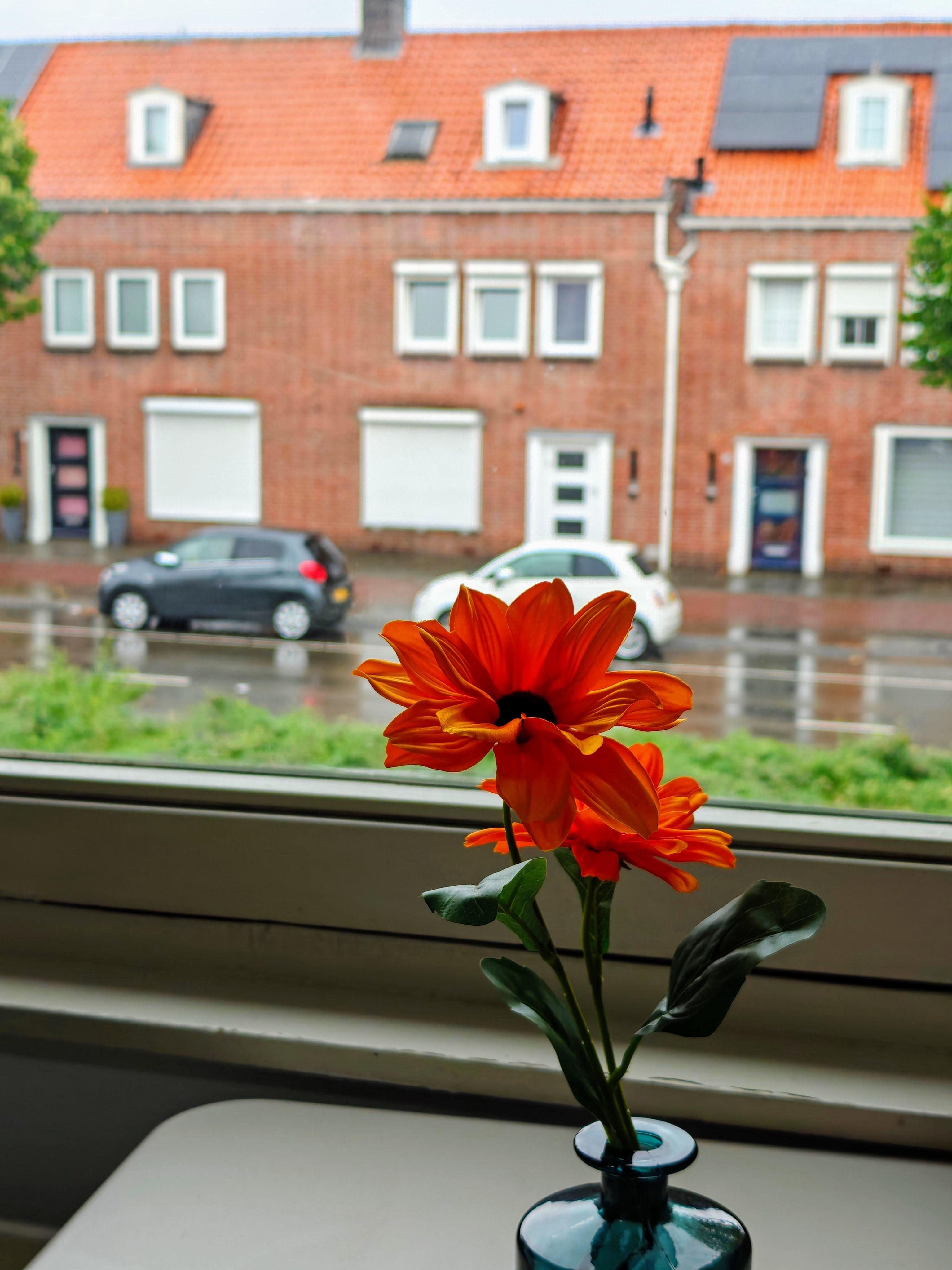 show all photos of Ringbaan-Oost