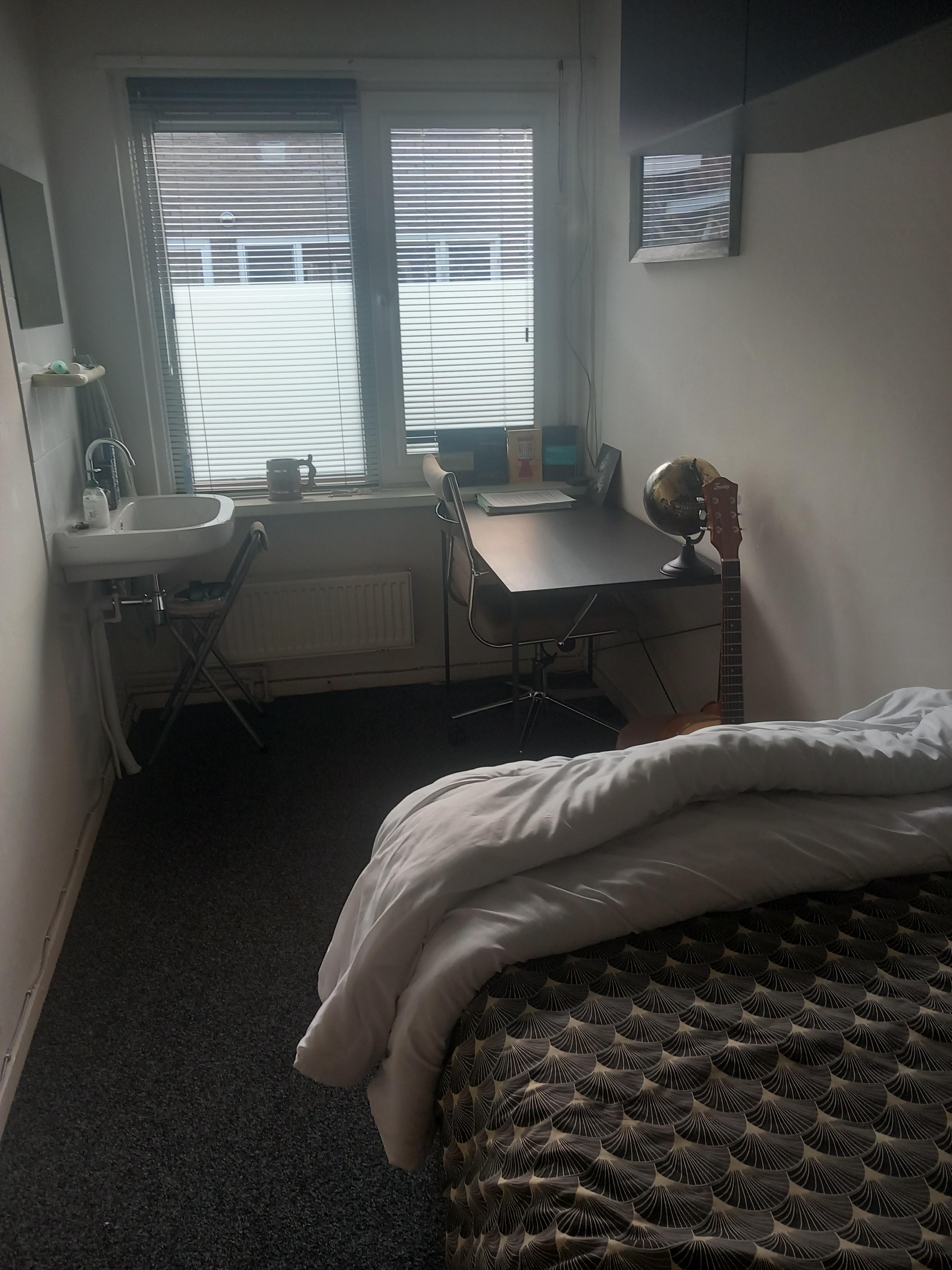 show all photos of Korenbloemstraat