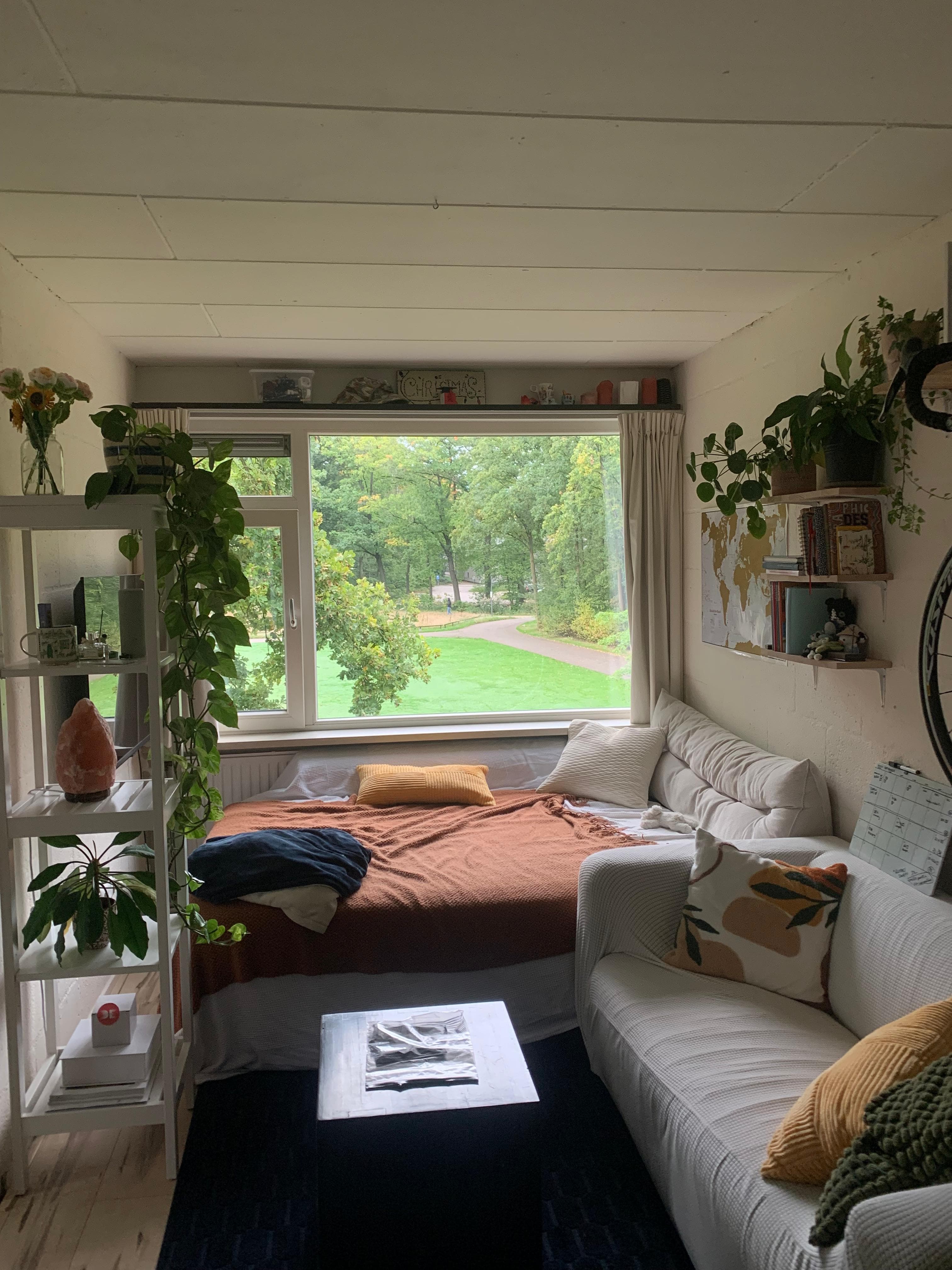 show all photos of Calslaan