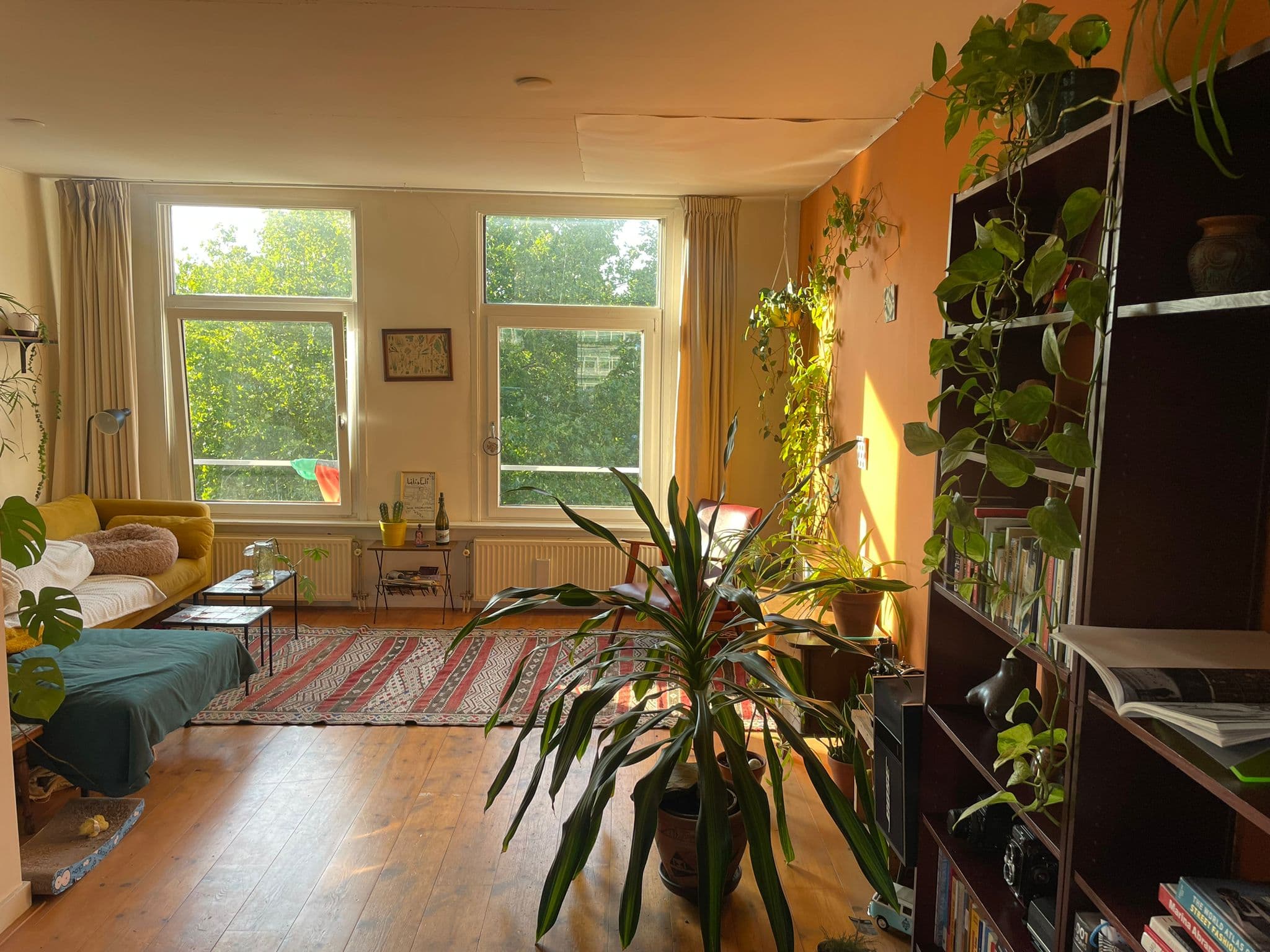 show all photos of Oetewalerstraat