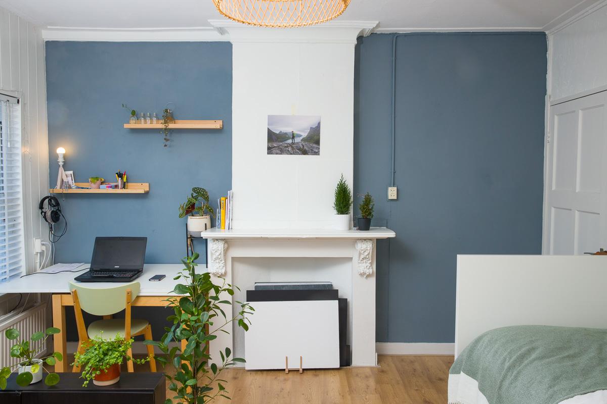 show all photos of Lauwerecht