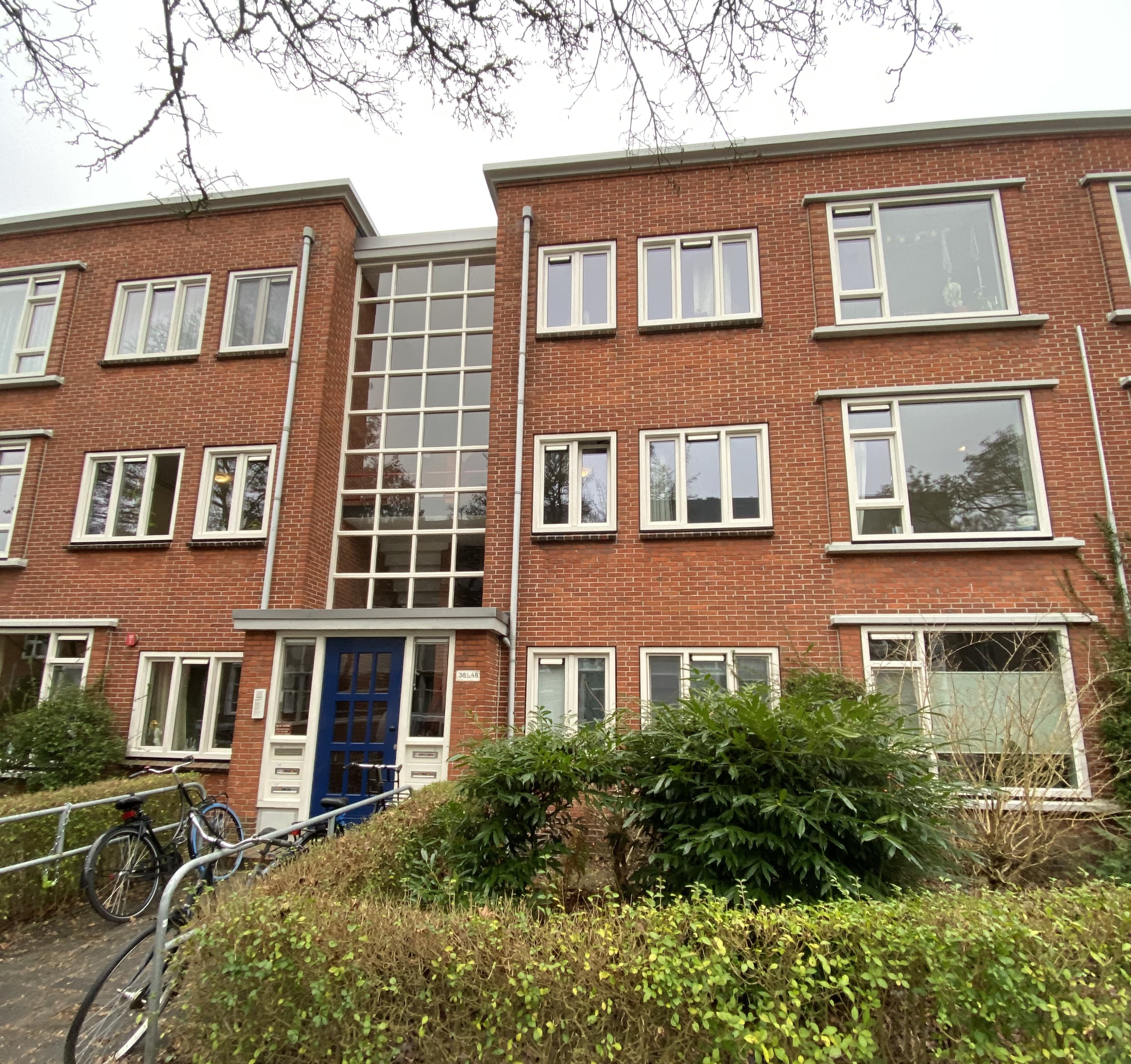 show all photos of Professor Enno Dirk Wiersmastraat