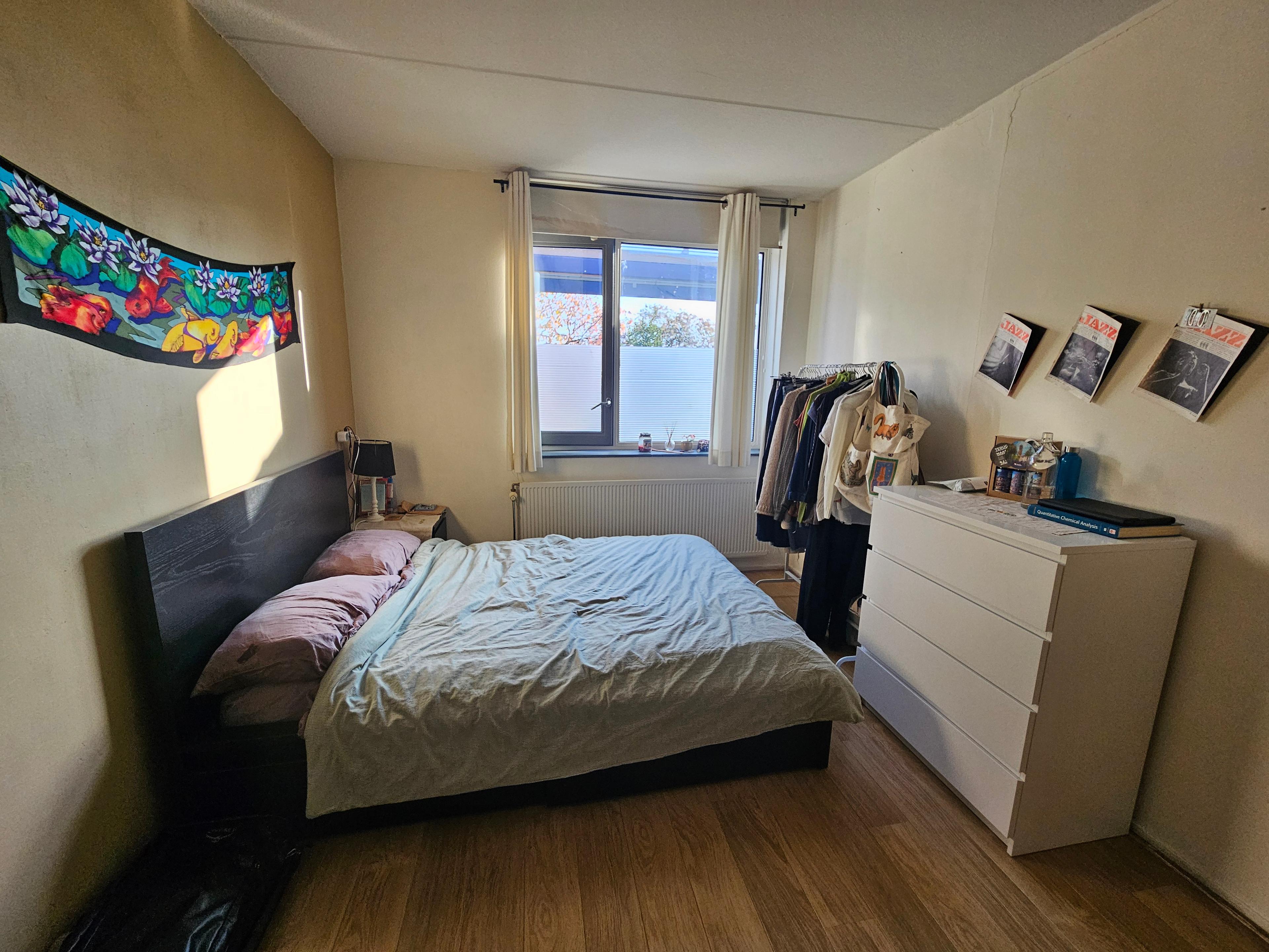 show all photos of Rijnlaan