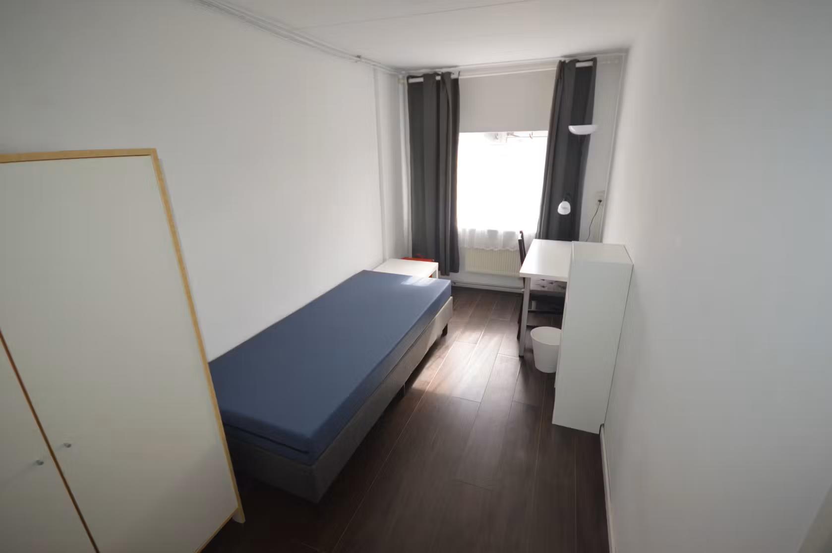 show all photos of Heeswijkstraat