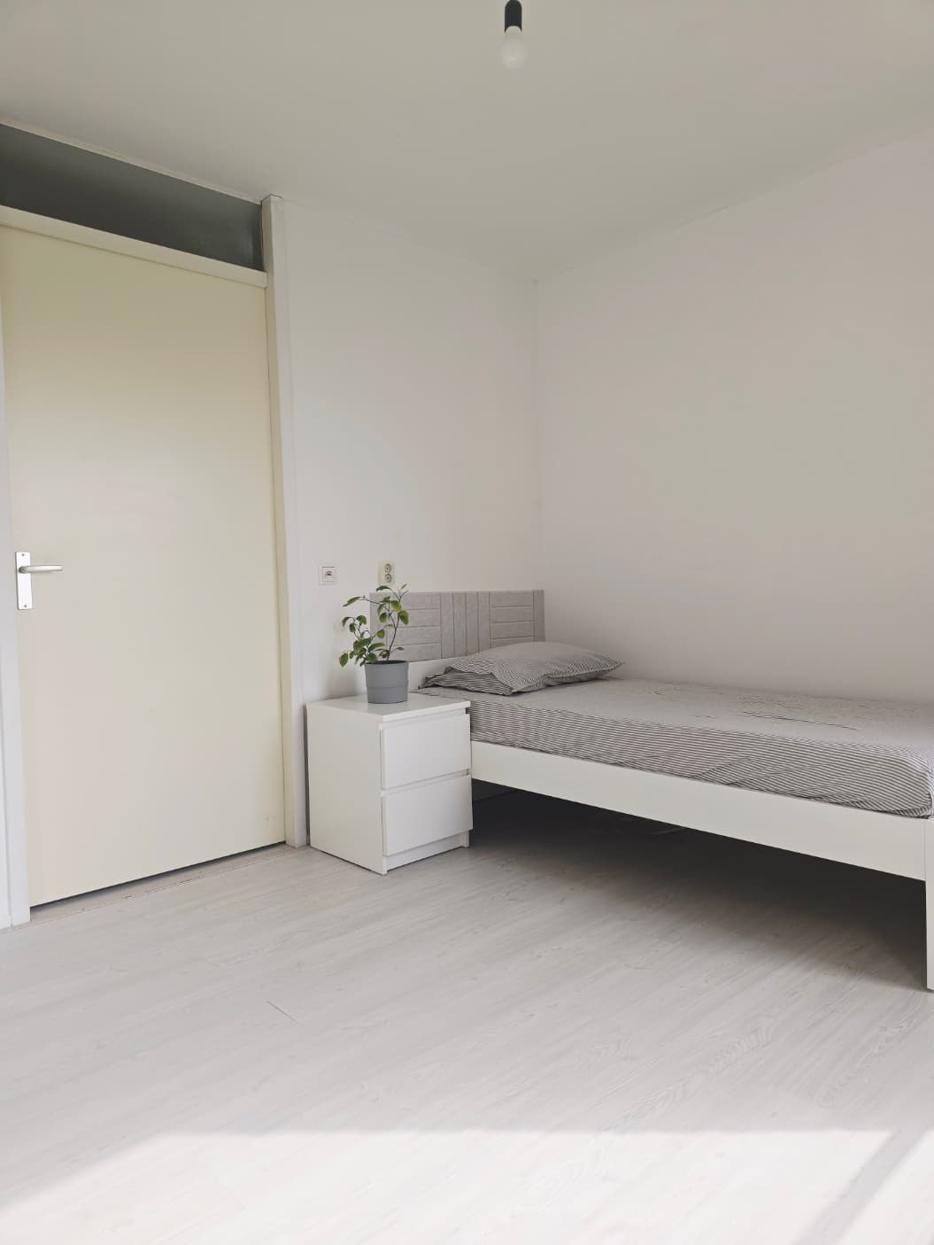 show all photos of EGoli