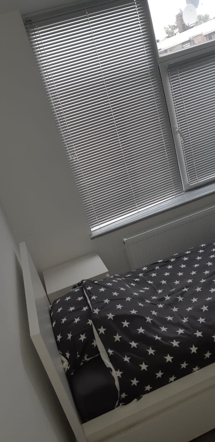 show all photos of Hannolaan