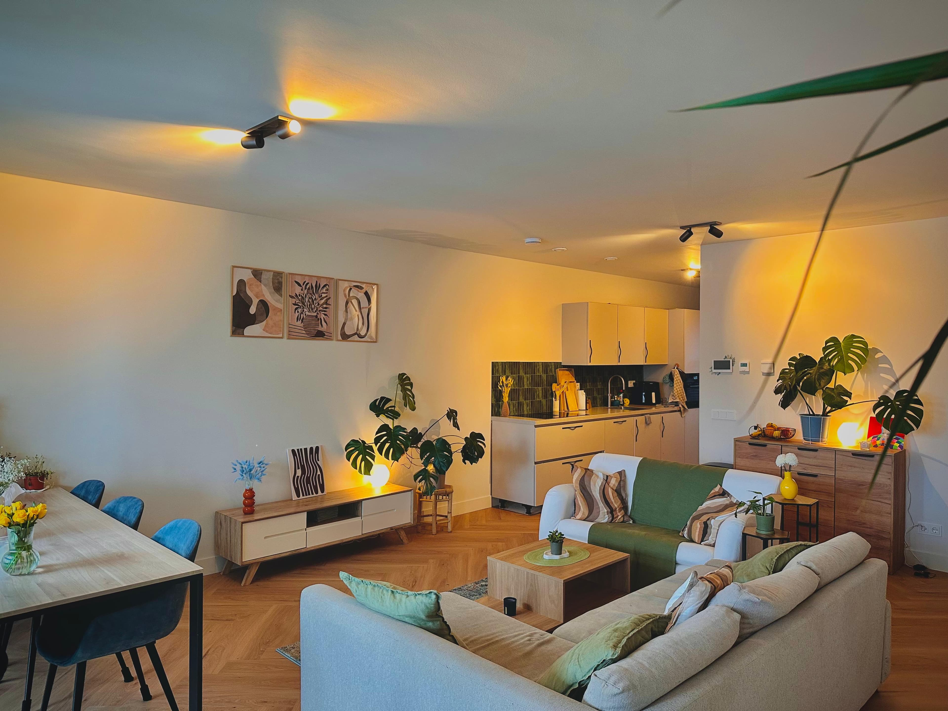 show all photos of Rijnlandlaan