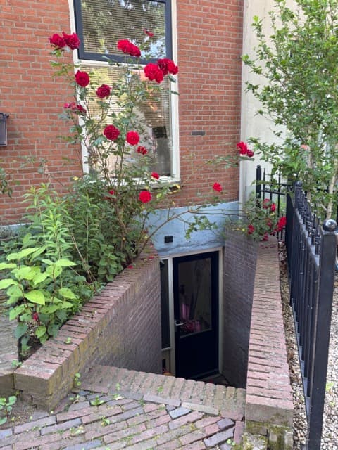 show all photos of Koninginnelaan