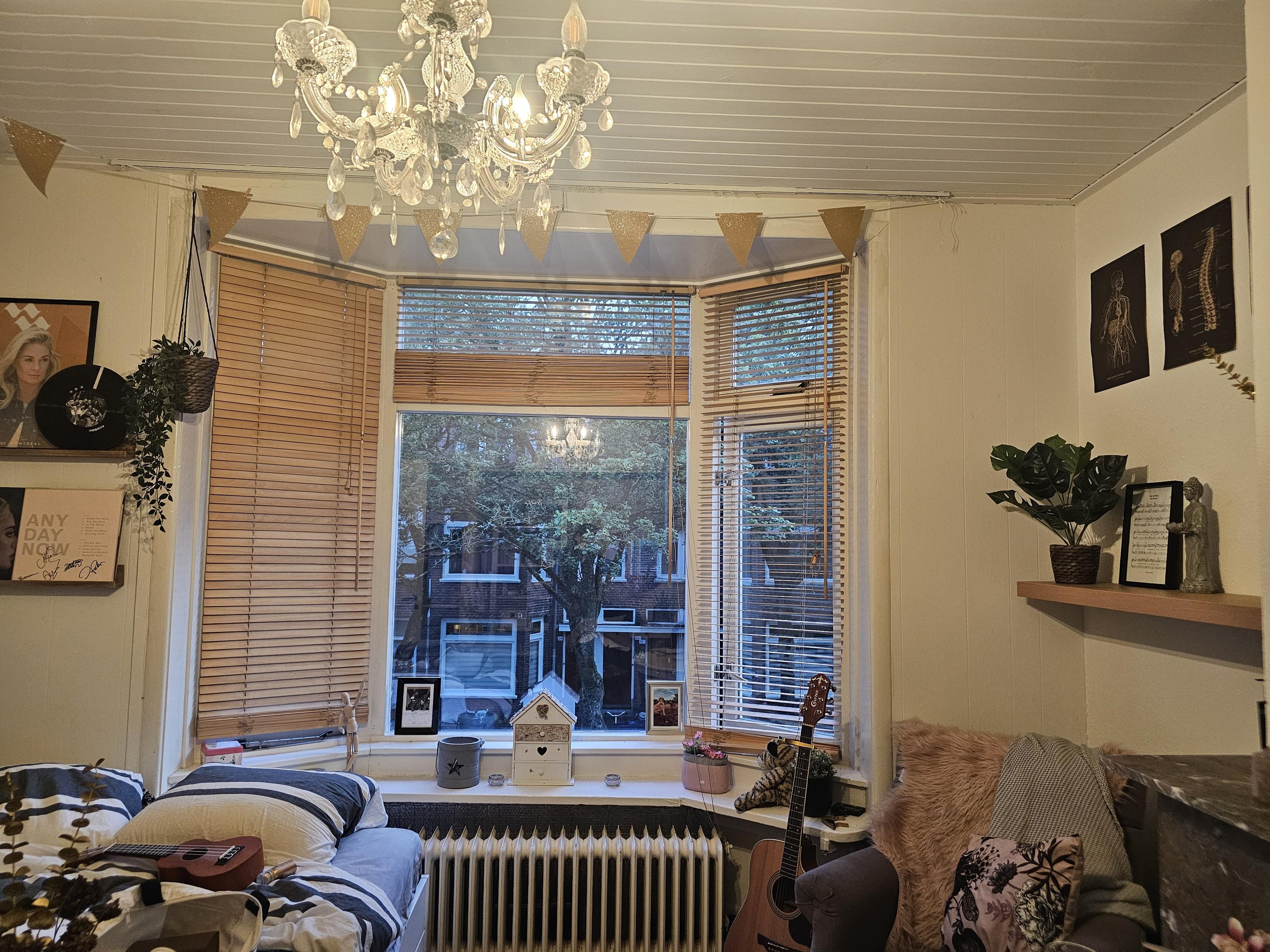 show all photos of Professor Rankestraat