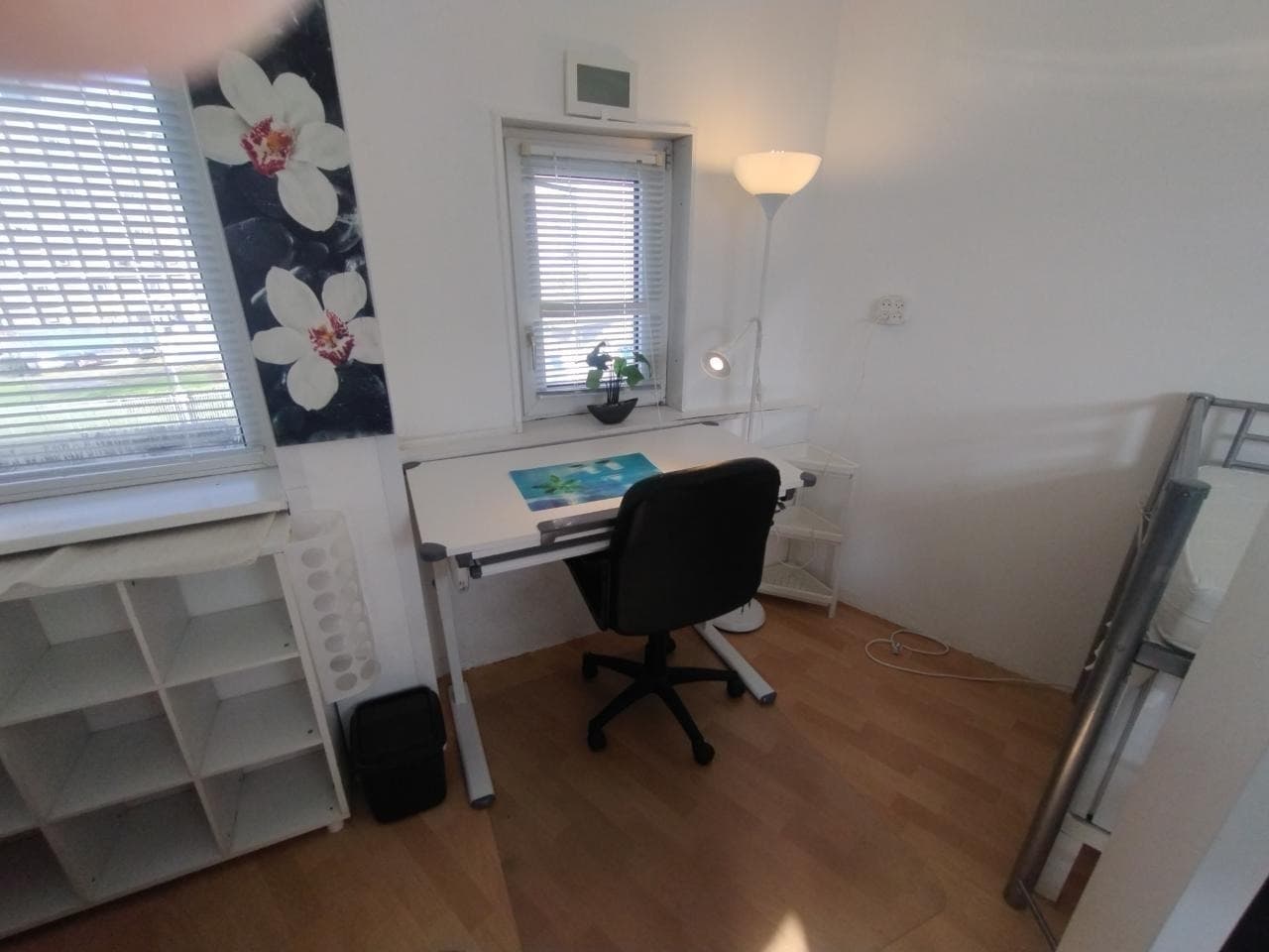 show all photos of Veerlaan