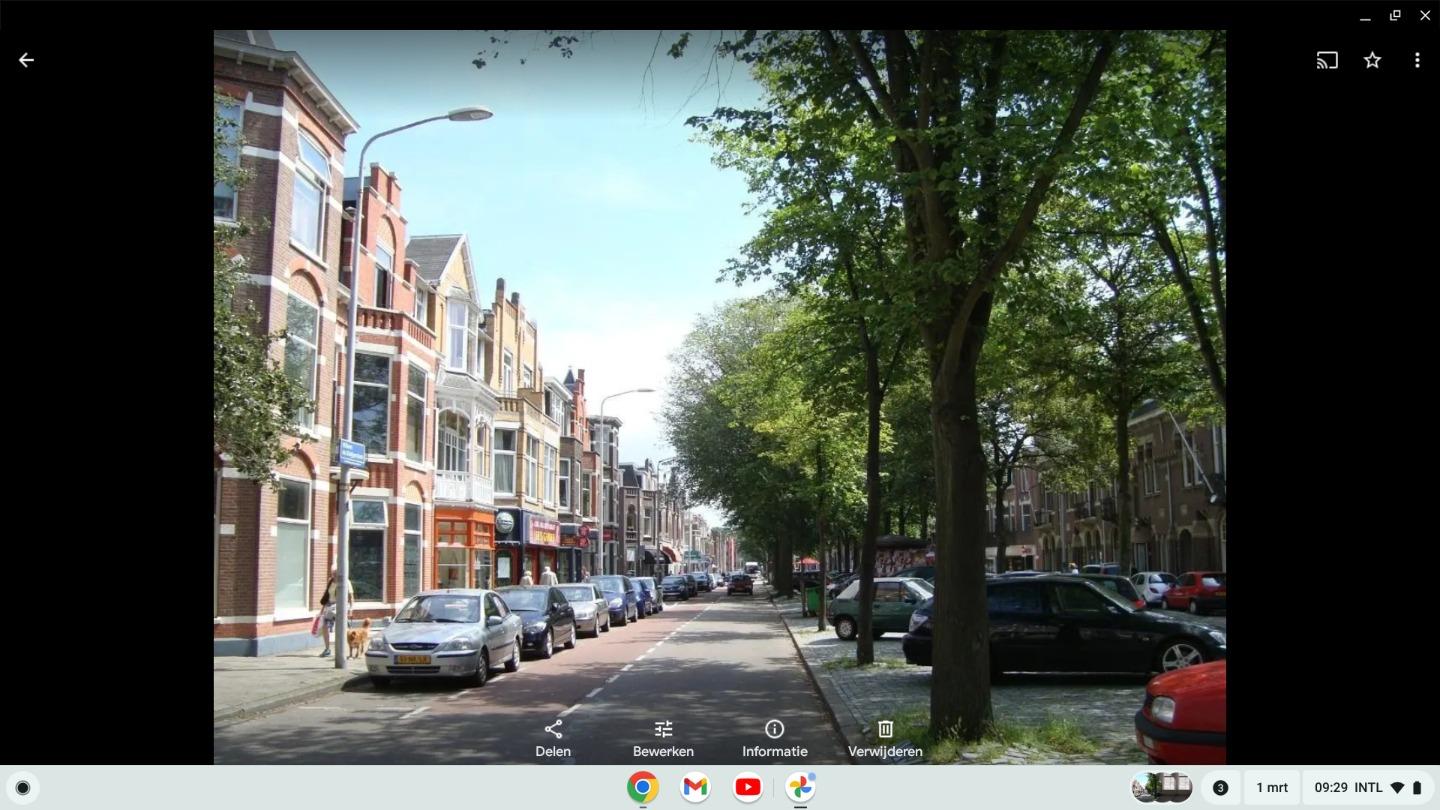 show all photos of Willem de Zwijgerlaan