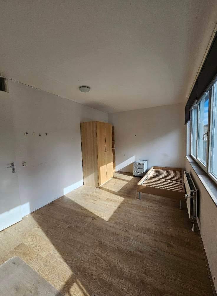 show all photos of Renier Nafzgerstraat