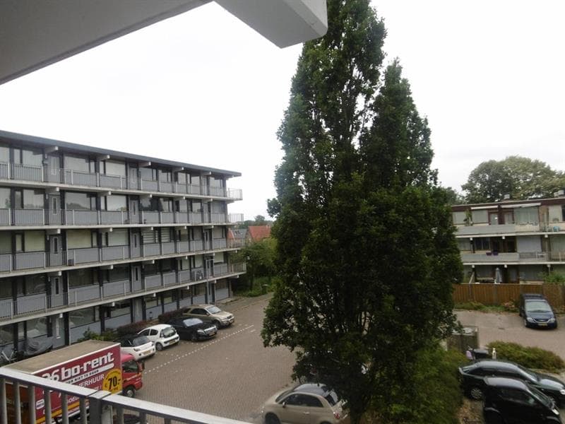 show all photos of Meidoornweg