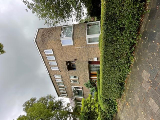 show all photos of Gratamastraat