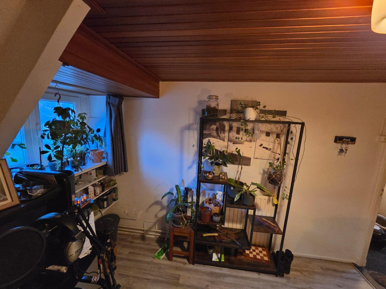 show all photos of Schootsestraat