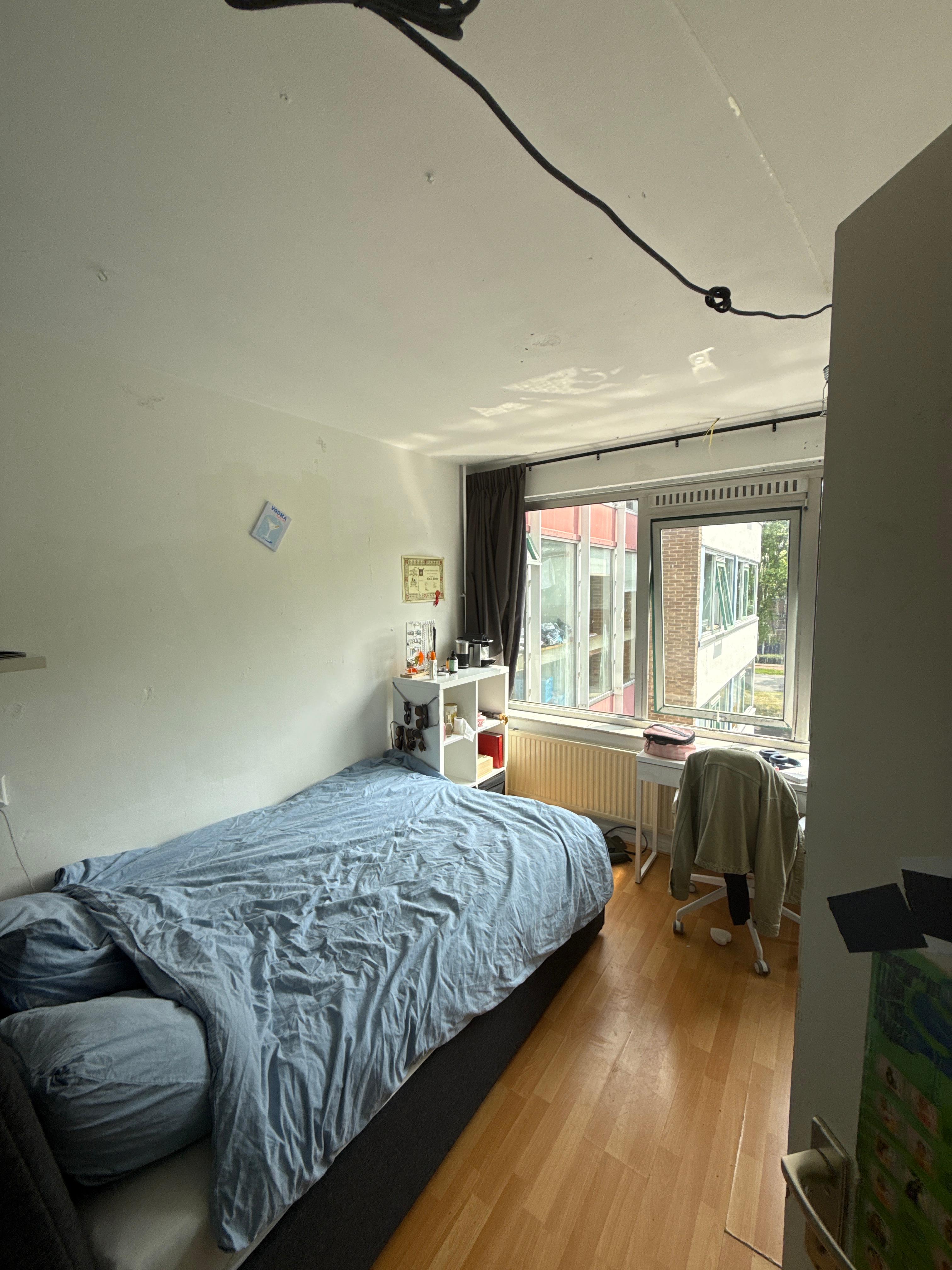 show all photos of Jacoba van Beierenlaan