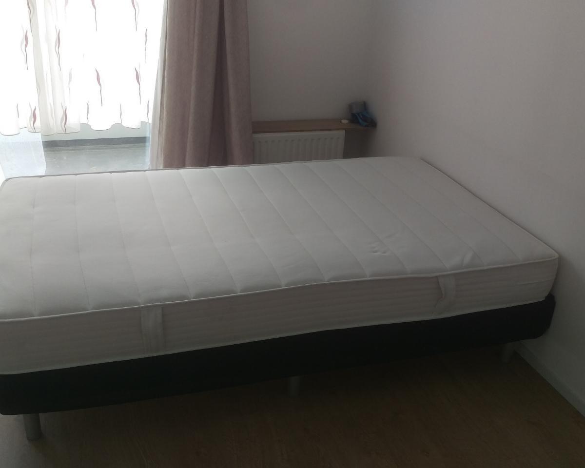 show all photos of Hogevecht