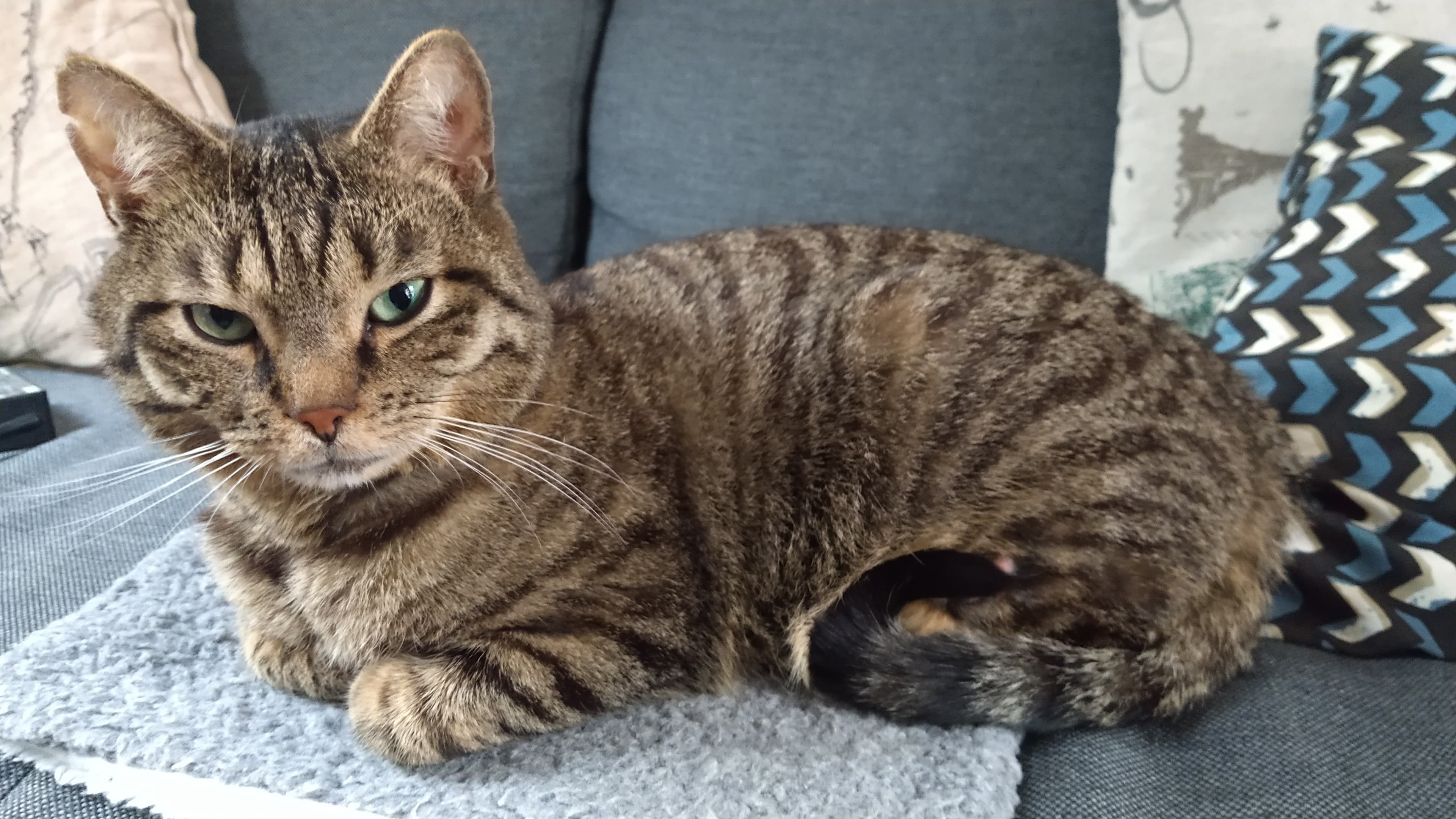 show all photos of Kromme Nieuwegracht